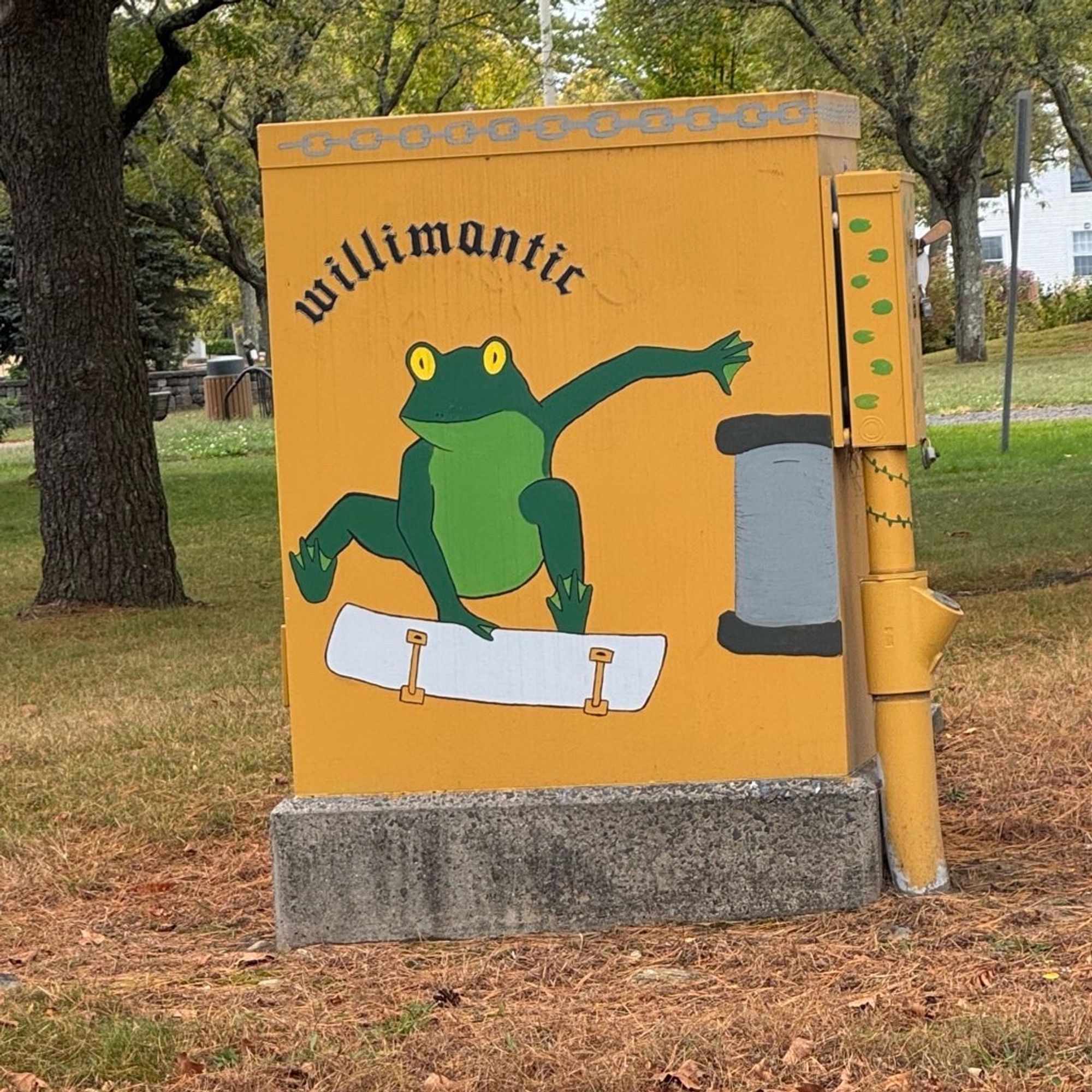 A skateboarding frog mural lol