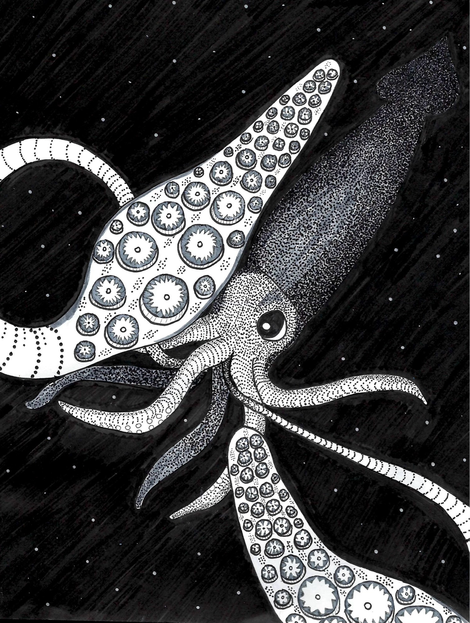 A drawing on paper, all black and white, of a giant squid in the dark deep sea. Its tentacle clubs are in the foreground going to grab you while the rest of the squid gets increasingly darker fading into the background