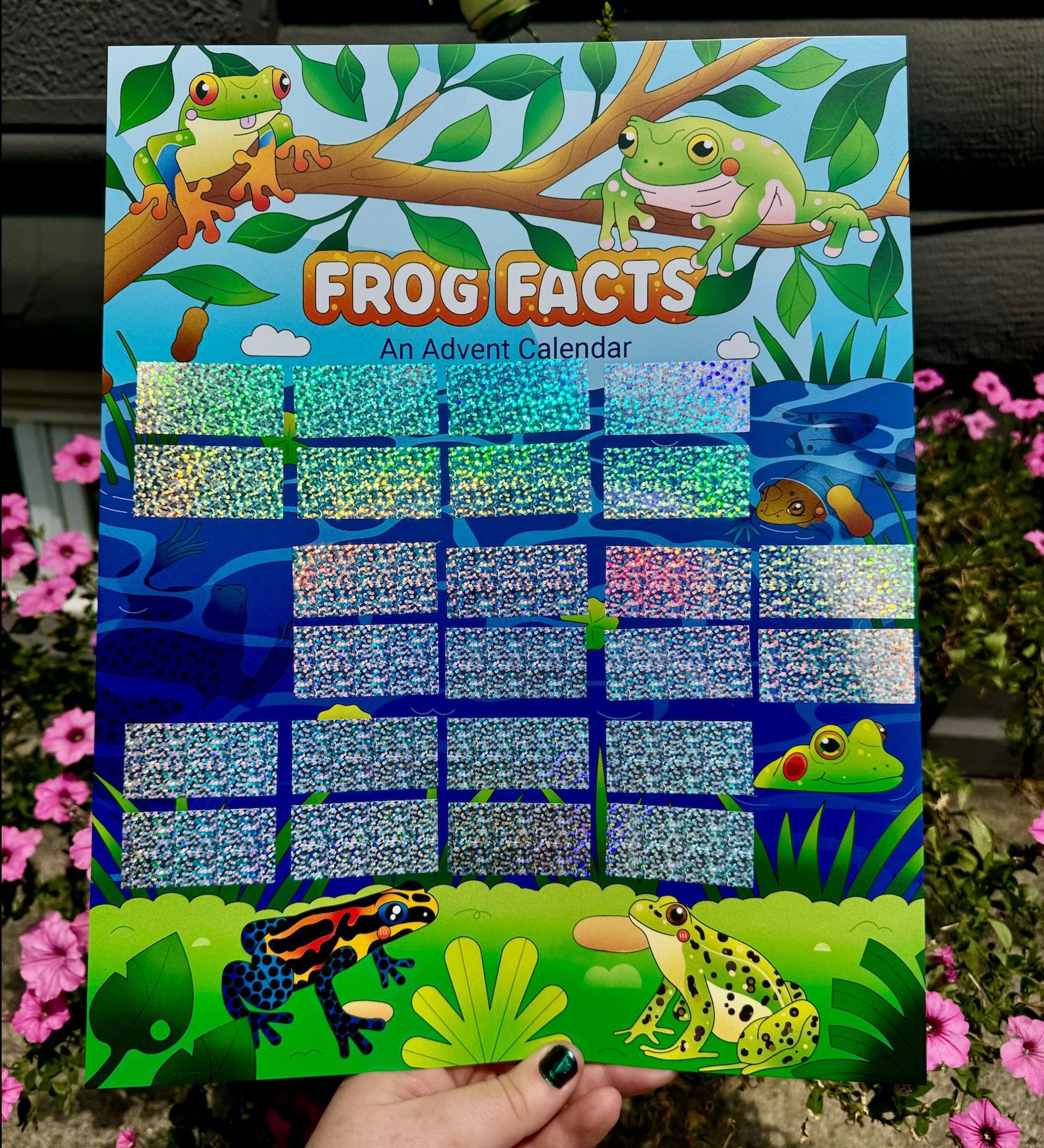 a rectangular poster being held up by Sarah with flowers in the background. there are 24 sparkly shiny stickers and the poster is covered in frogs, illustrated in bright colors, including a leopard frog, poison dart frog, green tree frog, other tree frog, wood frog i think, and bullfrog.