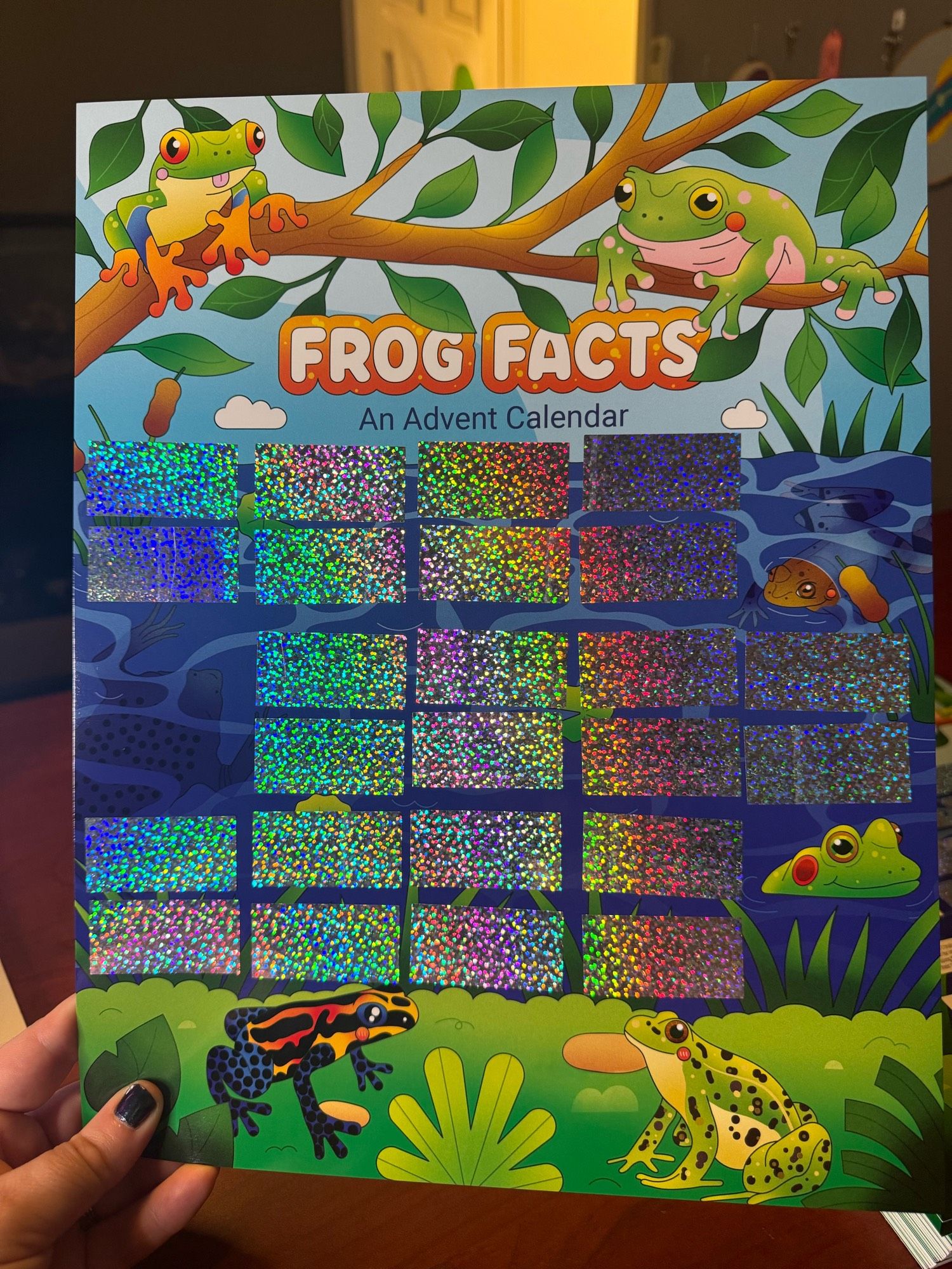 Frog Facts advent calendars, with rainbow iridescent stickers on them, being held up by Sarah. there are 6 species of frogs, including bullfrogs, poison dart frogs, leopard frogs, and two kinds of tree frogs and even a sneaky toad under the water