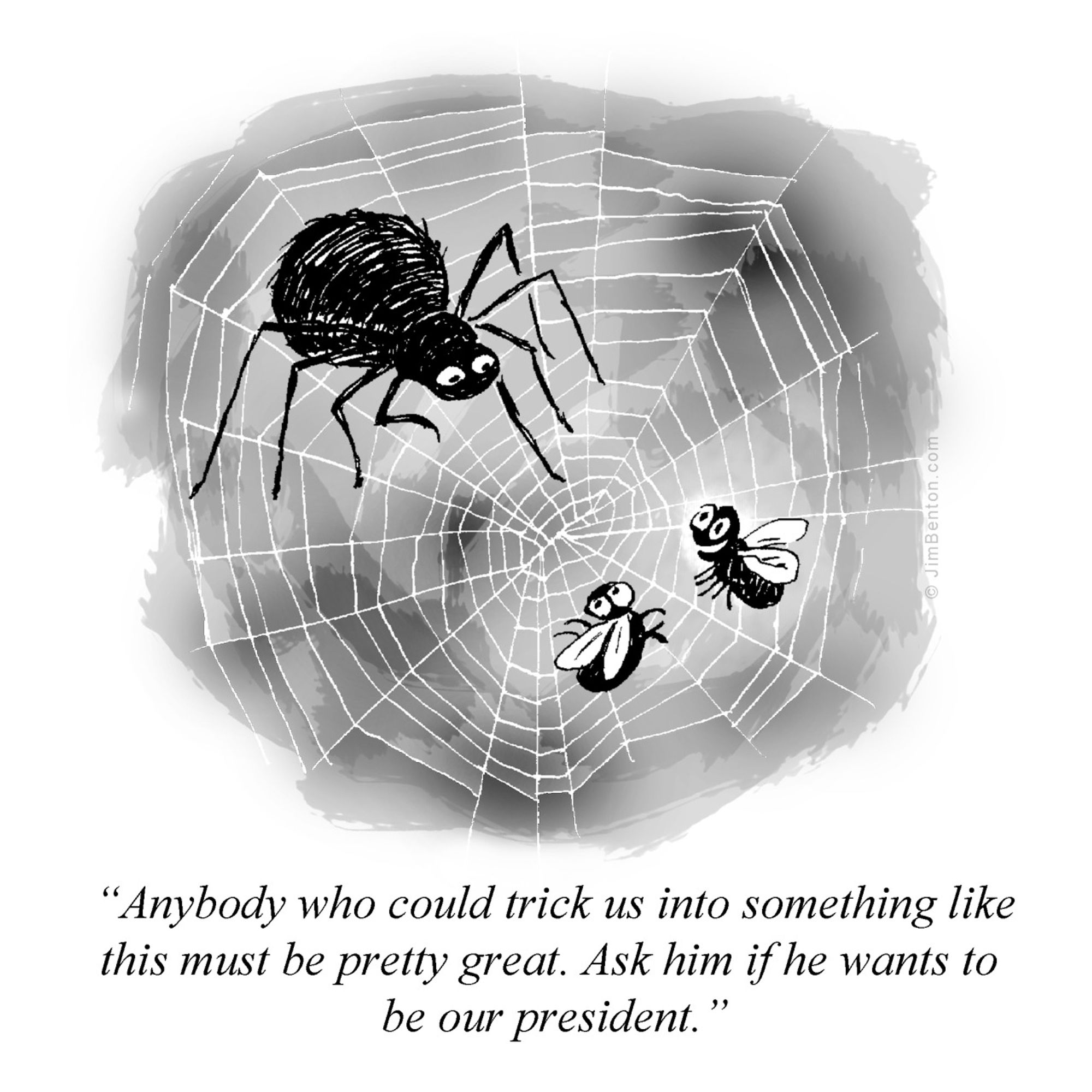 2 flys talking in a spiders web.

"Anybody who could trick us into something like this must be pretty great. Ask him if he wants to be our president."