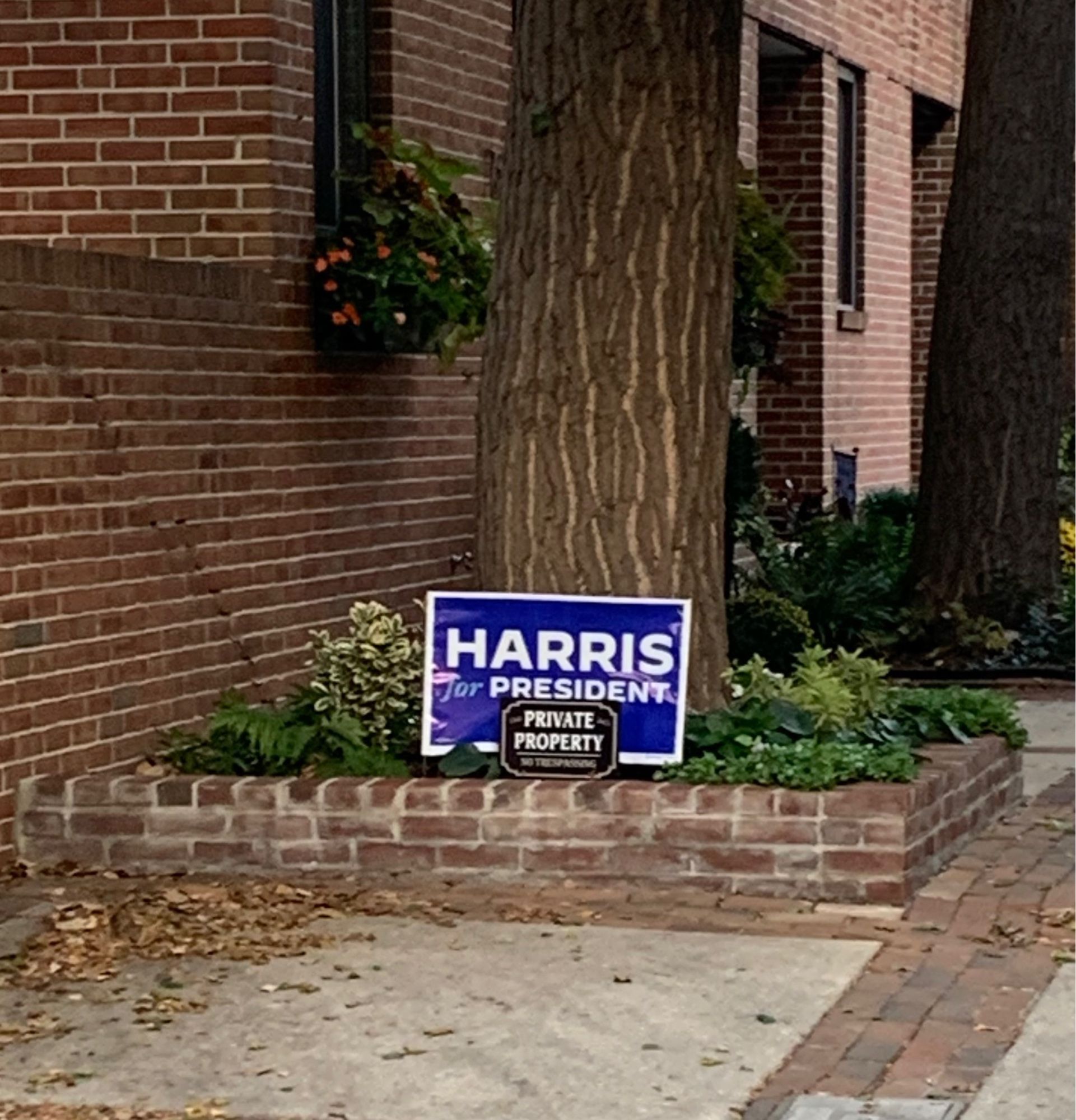 A red brick terrace with lush plants and a tree growing out of it. There is a “Harris for President” lawn sign planted in it. In front of the lawn sign, there is a smaller fancy looking sign that reads “Private Property, No Trespassing.” The buildings in the background are also well maintained red brick. Another similar lush terrace can be seen in the background on the right side.