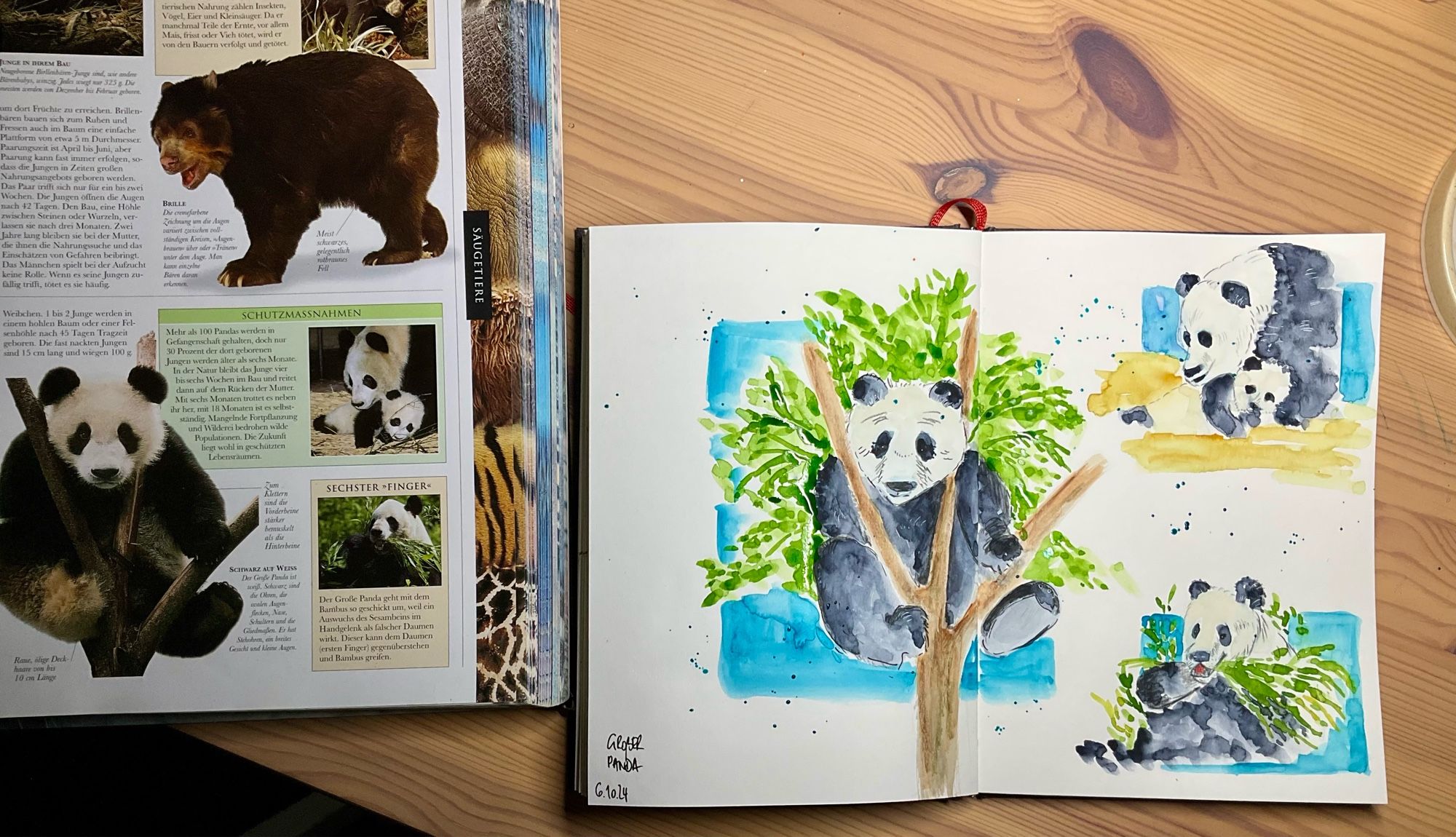 Links im Bild offen liegend ein Buch mit verschiedenen Bildern von Pandabären, rechts im Bild offen liegend ein Skizzenbuch mit Sketches der Bilder in Aquarell