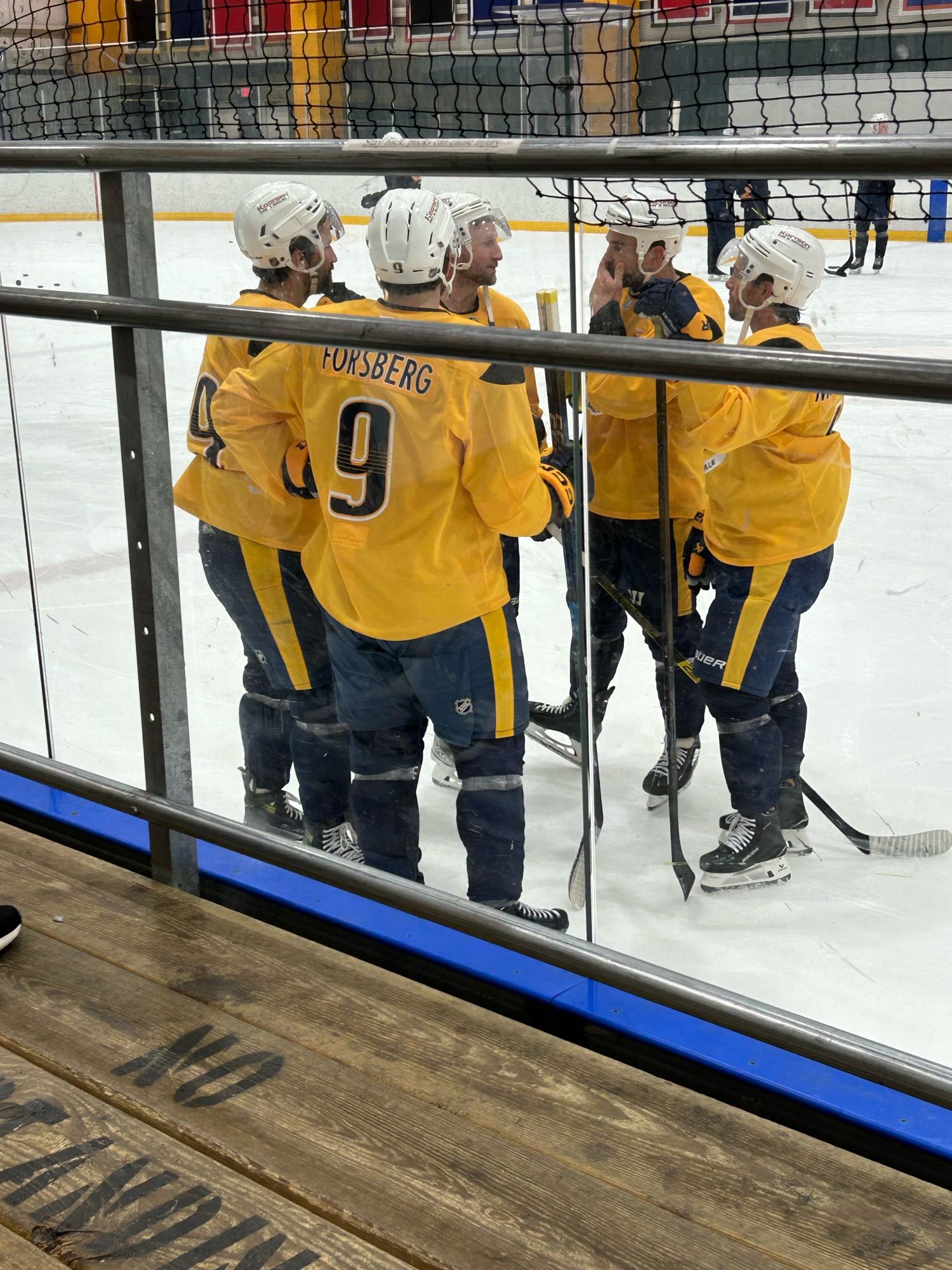 Josi, Marchessault, Stamkos, Forsberg, O’Reilly on the ice in a circle chatting