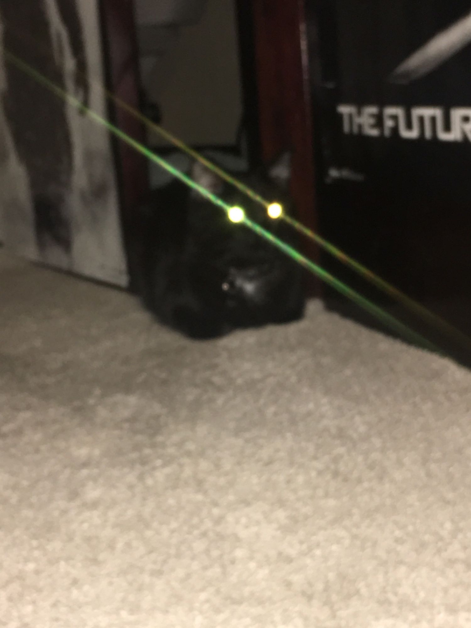 Blackberry, a black cat with a white spot on his throat, is loafing on the carpet and his eyes are glowing like lasers