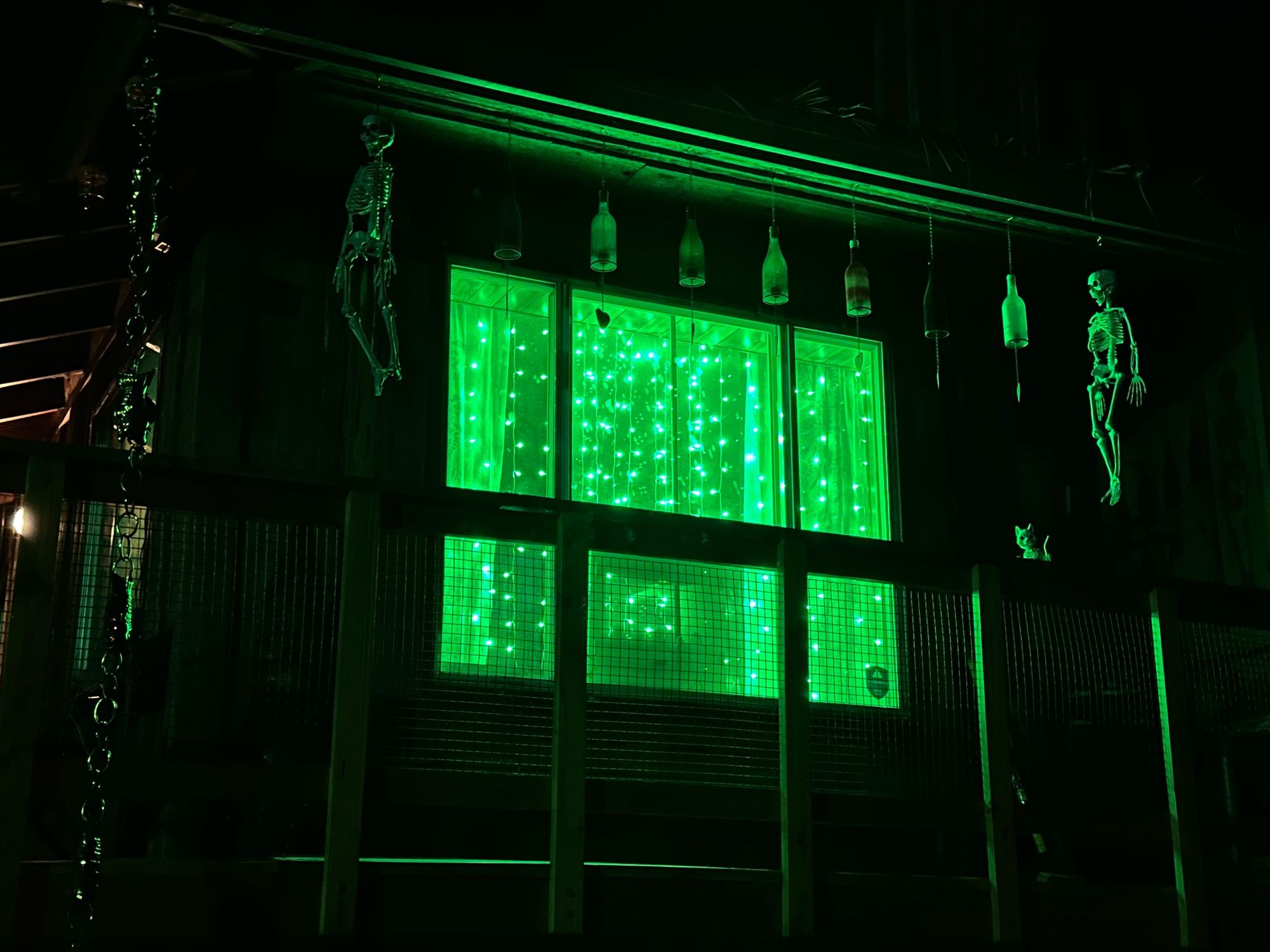 String lights set to bright green, indicating that it’s a yard waste week