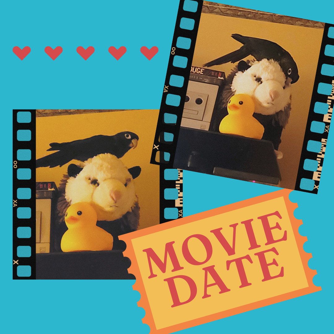 Movie Date: two frames of a green parrot playing on a stuffed possum toy with a rubber ducky in the foreground. 