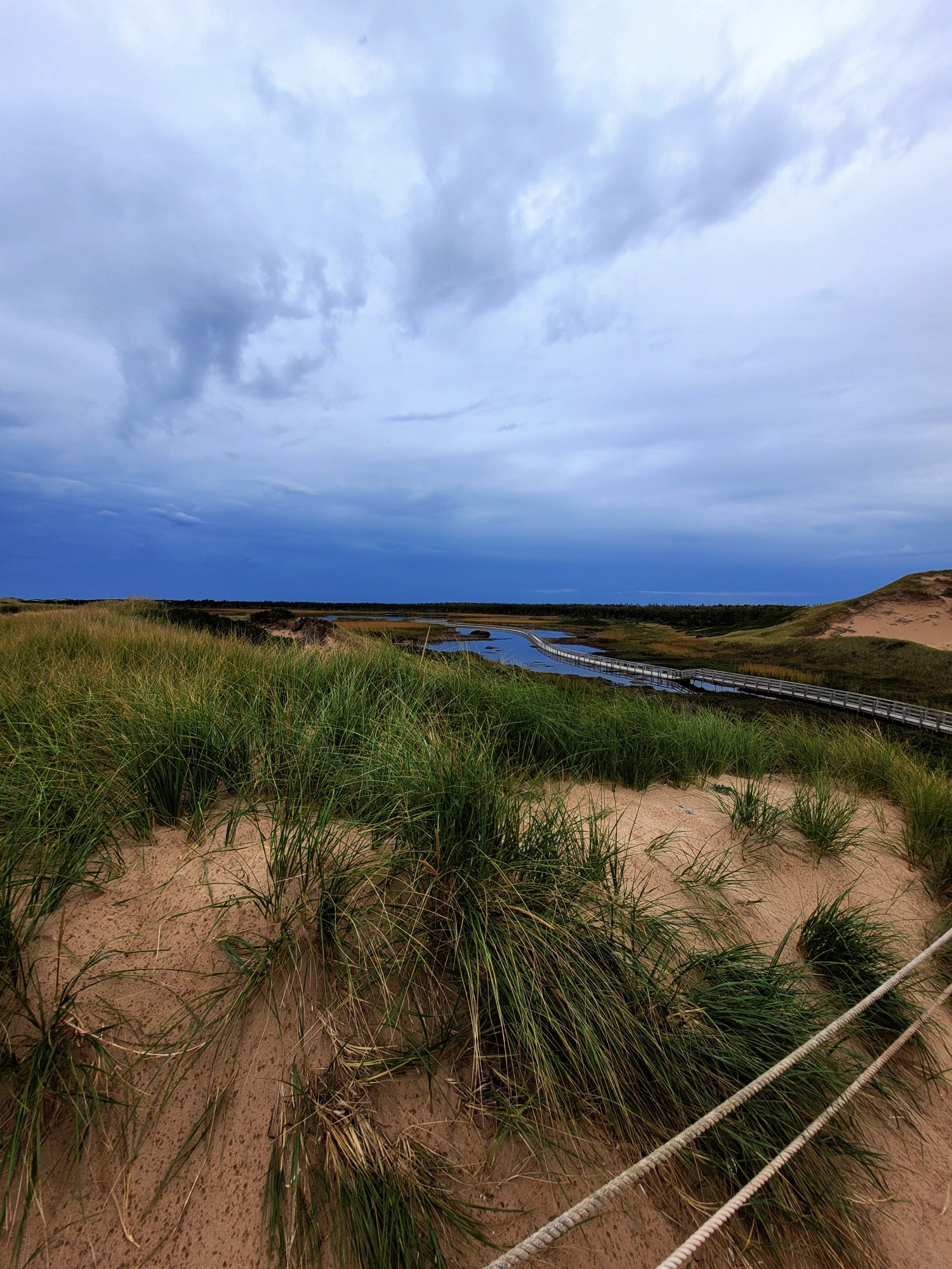 Dune view of floating boardwalk, Greenwich National Park.