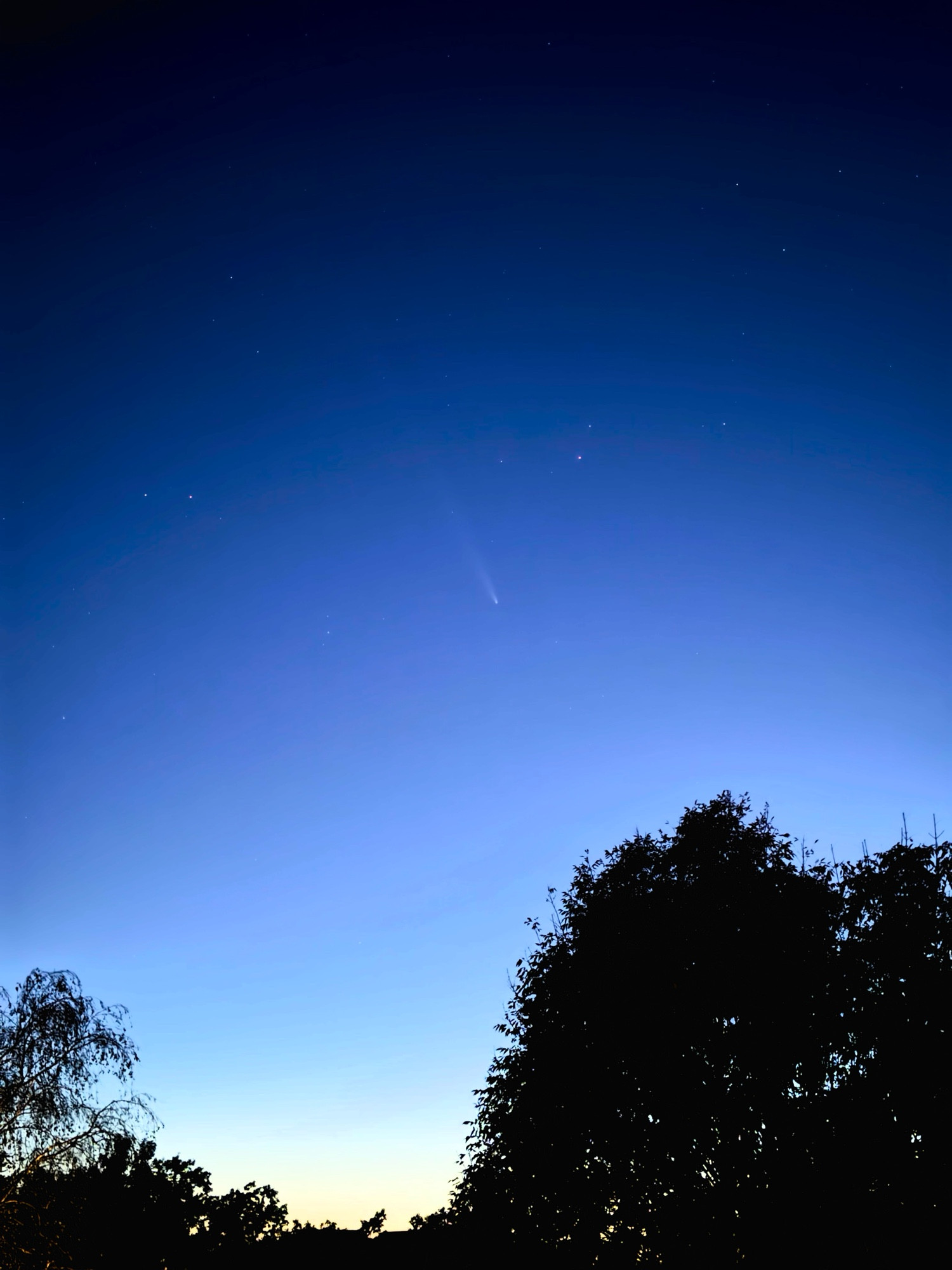 A nighttime sky with a gradient from dark blue to light near the horizon. A comet is visible in the upper portion, with a faint tail extending up and to the left. Silhouettes of trees frame the bottom of the image.