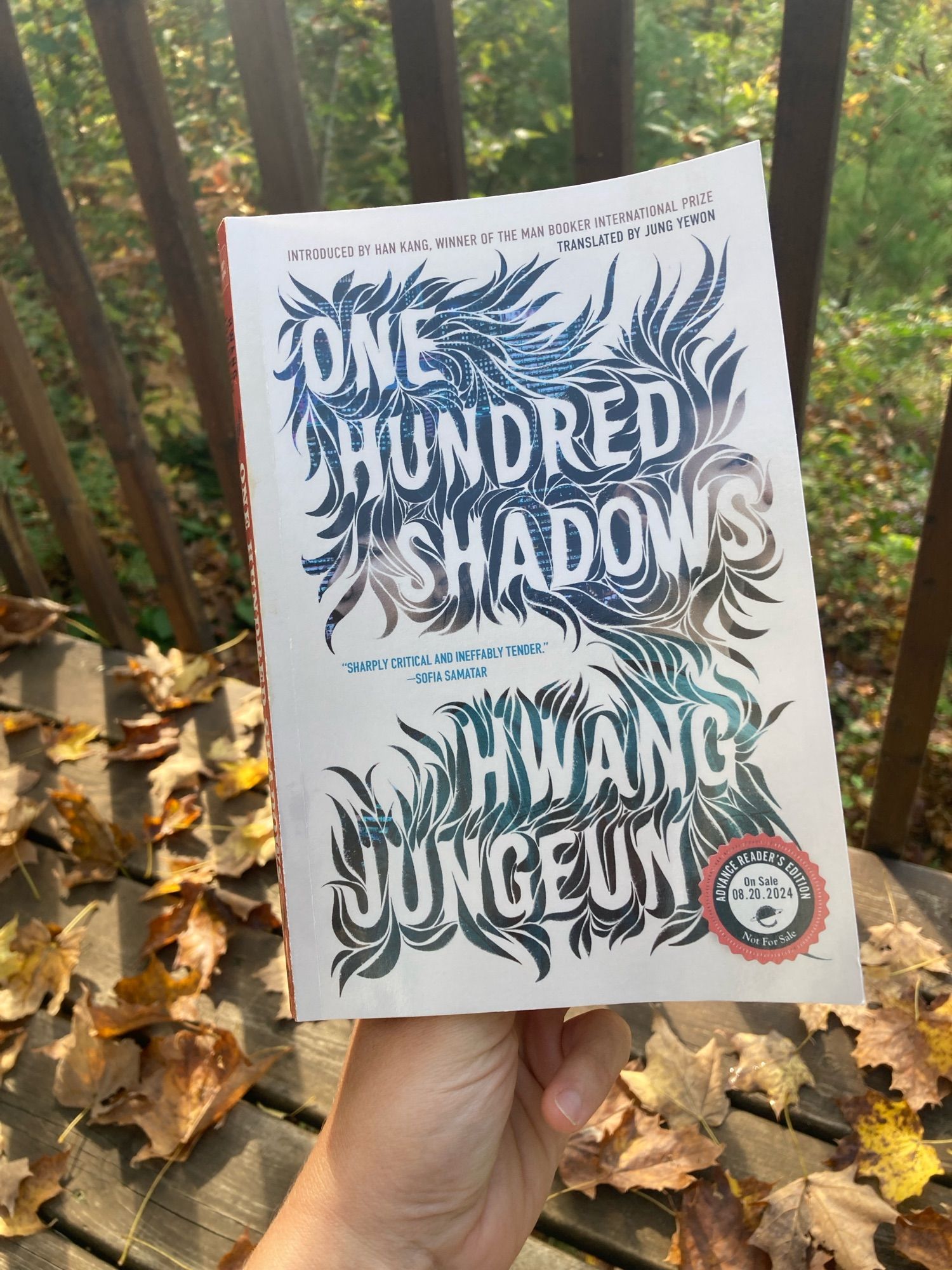 One hundred shadows by Hwang Jungeun, translated by Jung Yewon.