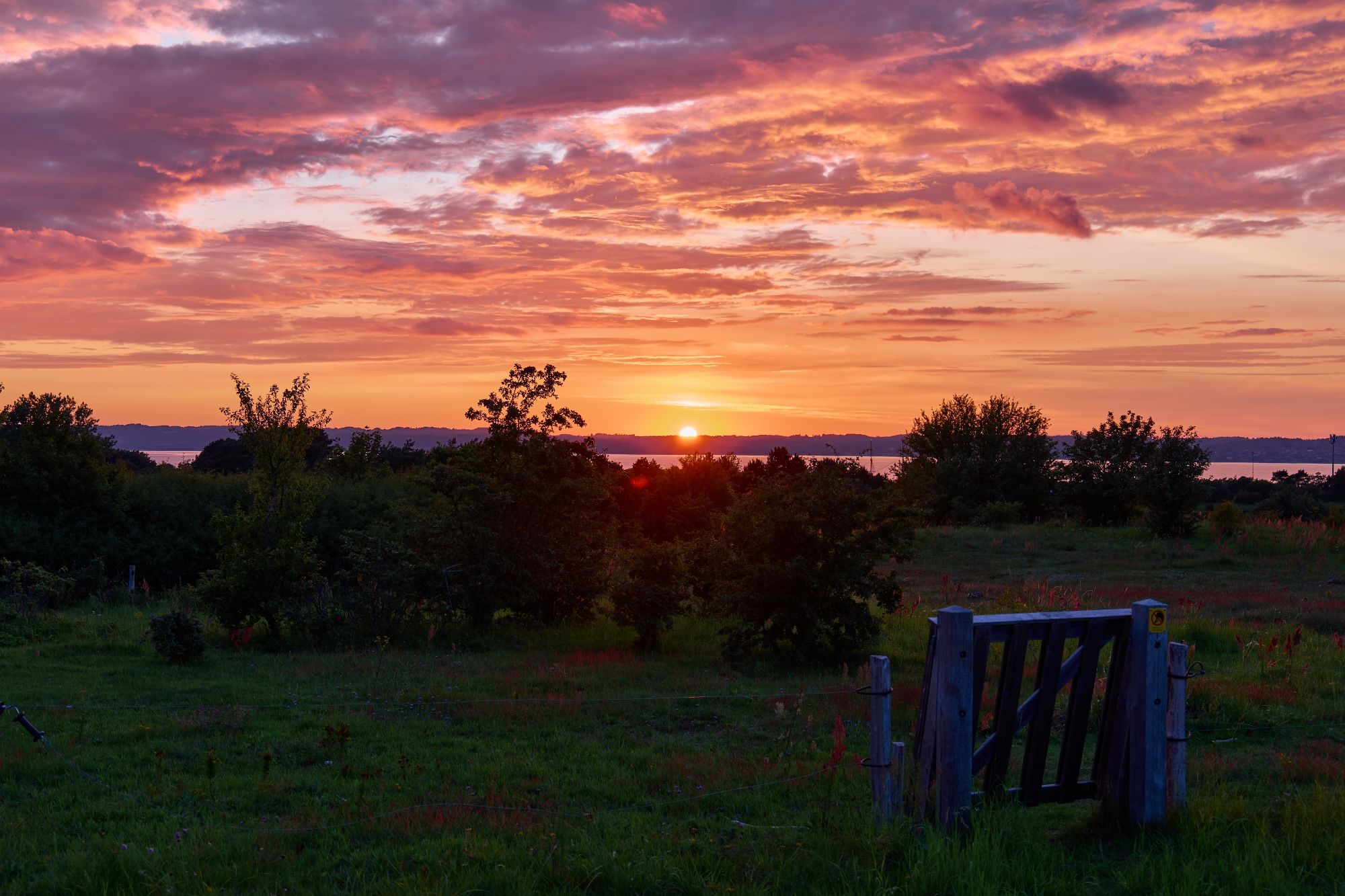 Abendstimmung in Ebeltoft. Im Vordergrund eine hölzerne blaue Weidezauntür und Büsche im Gegenlicht, im Hintergrund die über Mols Bjerge untergehende Sonne am orange-rot eingefärbten Abendhimmel.

© Torsten Grieger