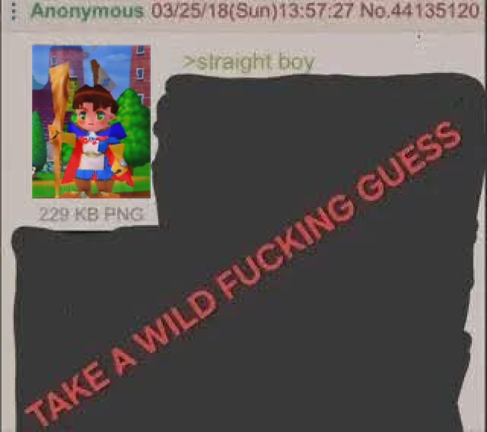The meme shows a green text post from anonymous that starts with 
>straight boy

But then we covered up everything else in the post and added TAKE A WILD FUCKING GUESS
