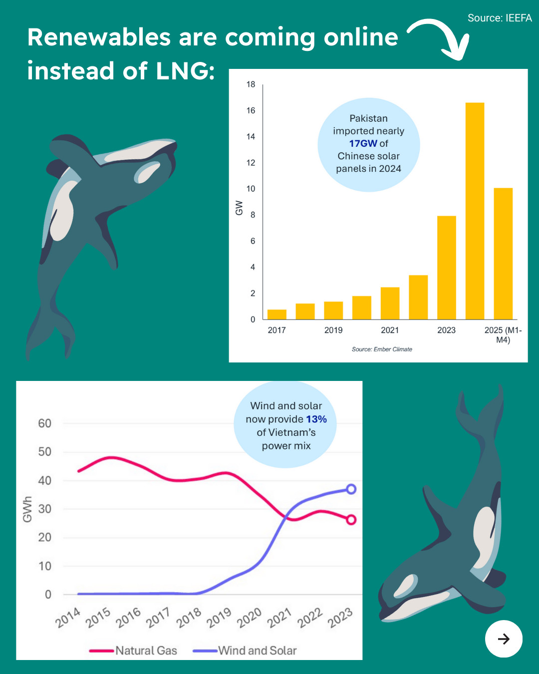 Teal background. ext in top right corner reads “Source: IEEFA”. Text reads “Renewables are coming online instead of LNG:” with an arrow pointing to two graphs, one showing a spike in imports of Chinese solar panels from Pakistan and the other showing Vietnam’s power mix, with an increased amount of wind and solar and a decrease in natural gas. Illustrations of Southern Resident orcas swim around the graphs. Arrow icon in bottom right corner.