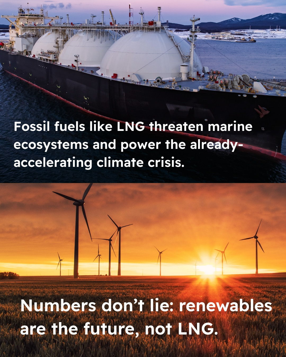 Top photo shows an LNG tanker with text reading “Fossil fuels like LNG threaten marine ecosystems and power the already-accelerating climate crisis.” Bottom photo shows a wind farm at sunset with text reading “Numbers don't lie: renewables are the future, not LNG.”