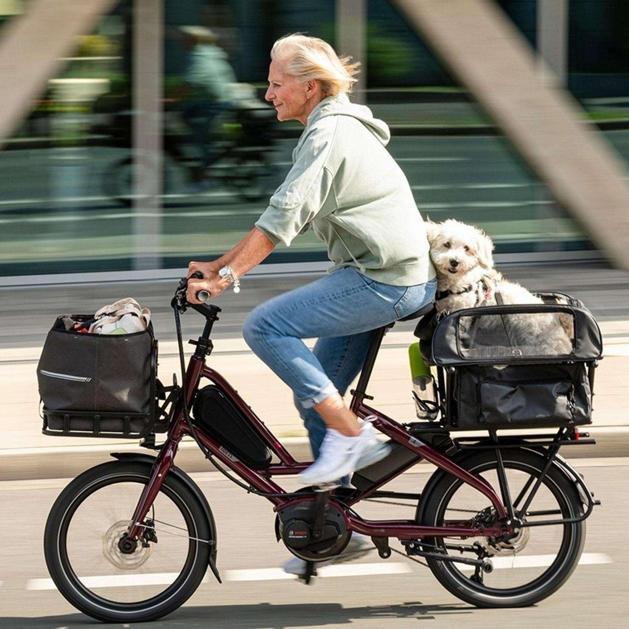 Woman riding a Tern Quick Haul Cargobike with her pet dog in the back carrier.