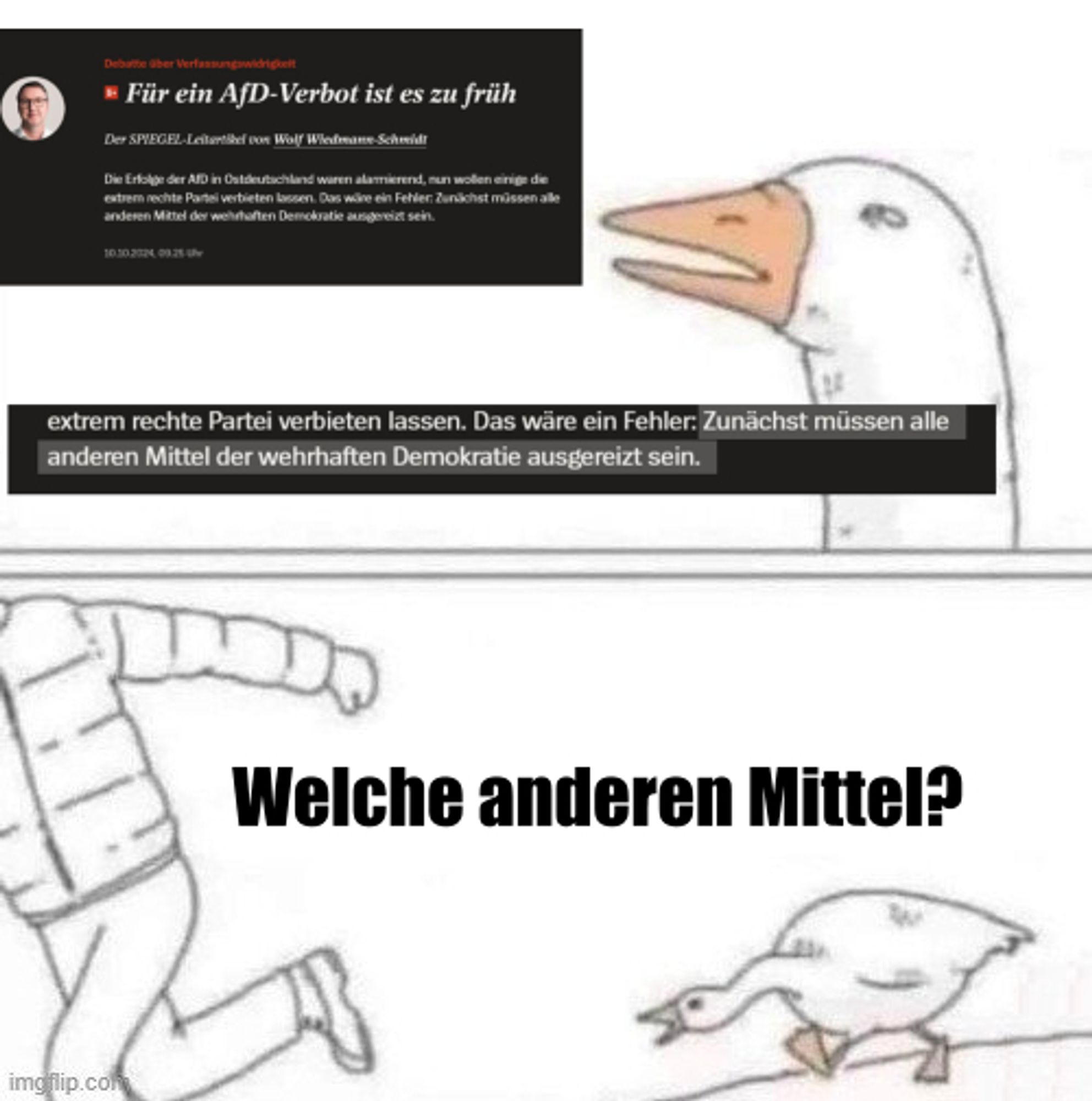 Goose chasing meme: Oberes Panel Spiegelartikel: Für ein AfD Verbot ist es zu früh! Text hervorgehoben: Zunächst müssen alle anderen Mittel der wehrhaften Demokratie ausgereizt sein. Unteres Panel: Welche anderen Mittel?