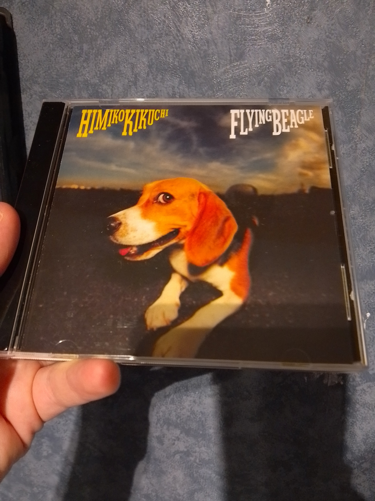 himiko kikuchis beloved album "flying beagle"