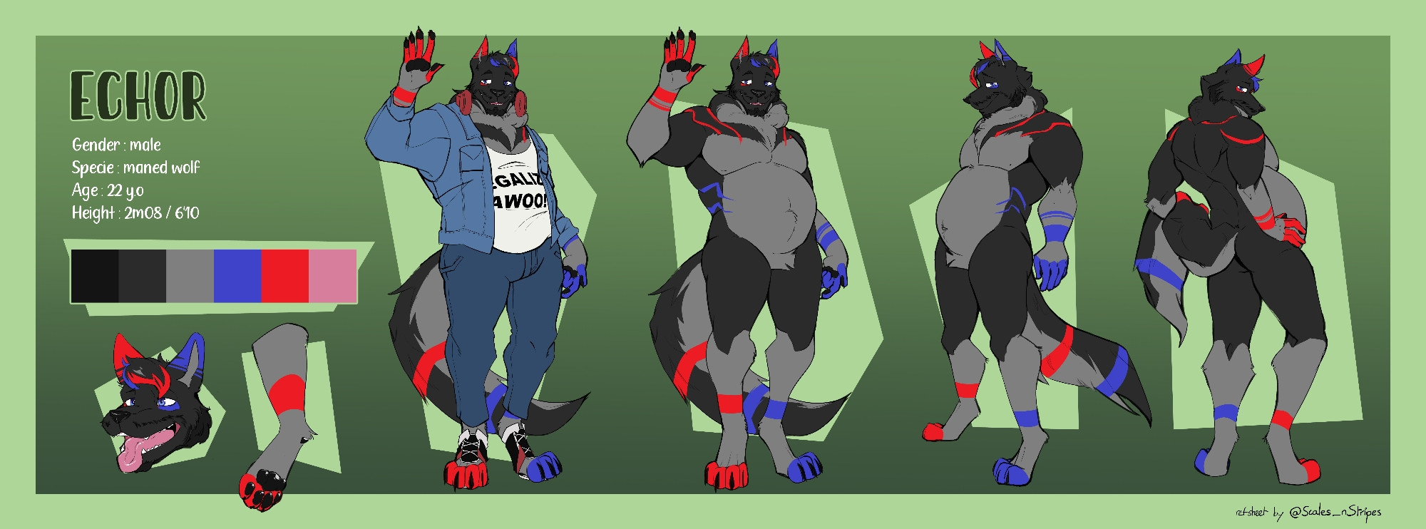 Echor, "main" sona. A black maned wolf with some red and blue parts and a beard. Ref sheet made by @ScalesnStripes.bsky.social