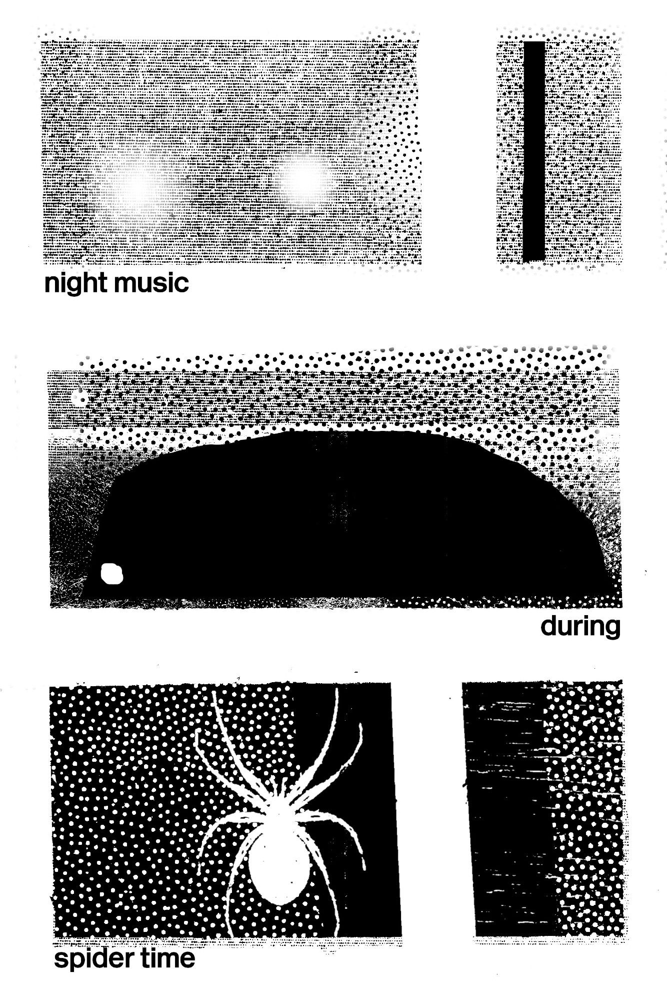 small hours
big time

3am - when fog doesn't lift
look for night music

during spider time - at 0330 it's
opiliones and Debussy