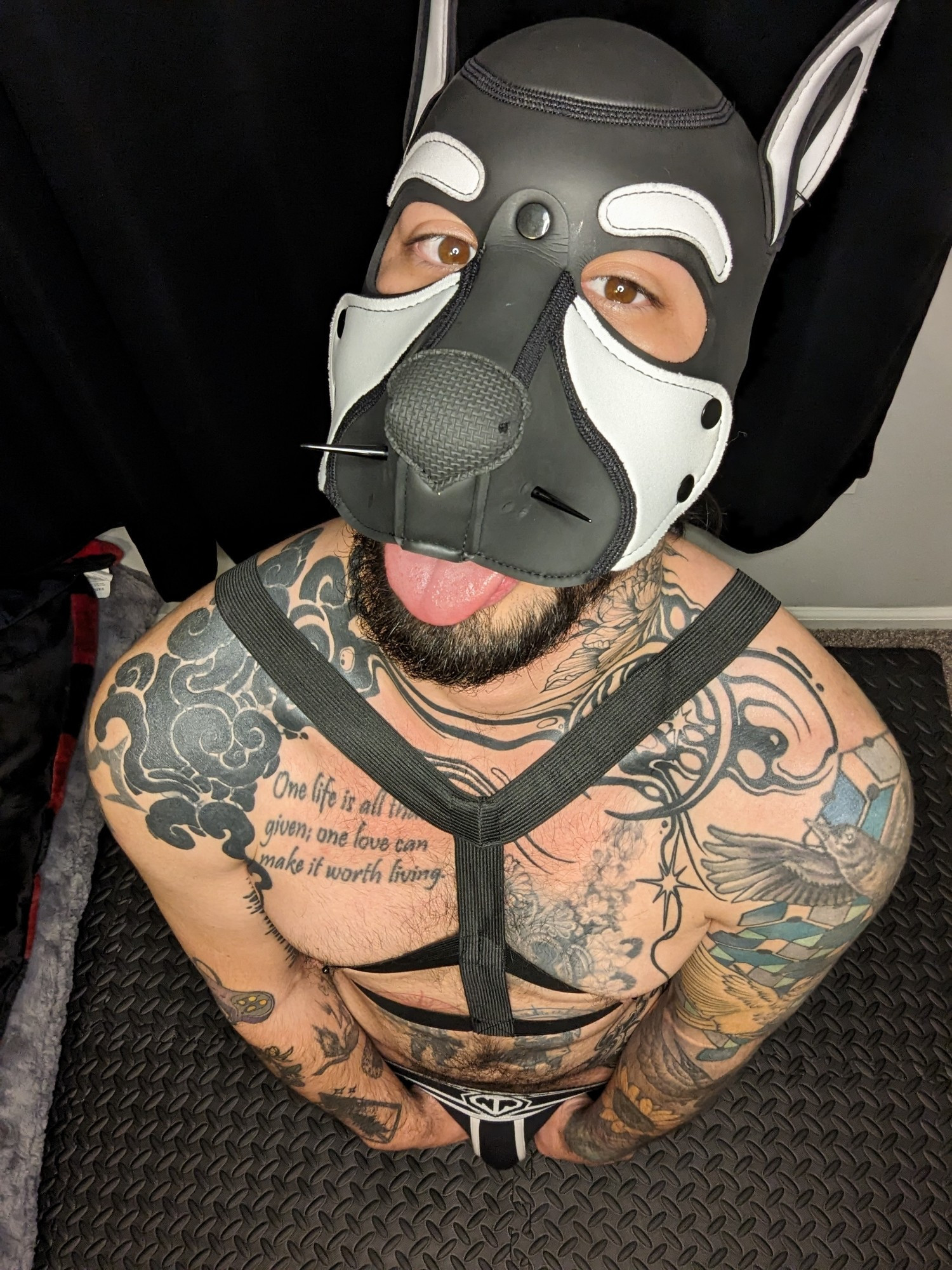 Human puppy with tattoos wearing black elastic harness and puppy mask with his tongue out