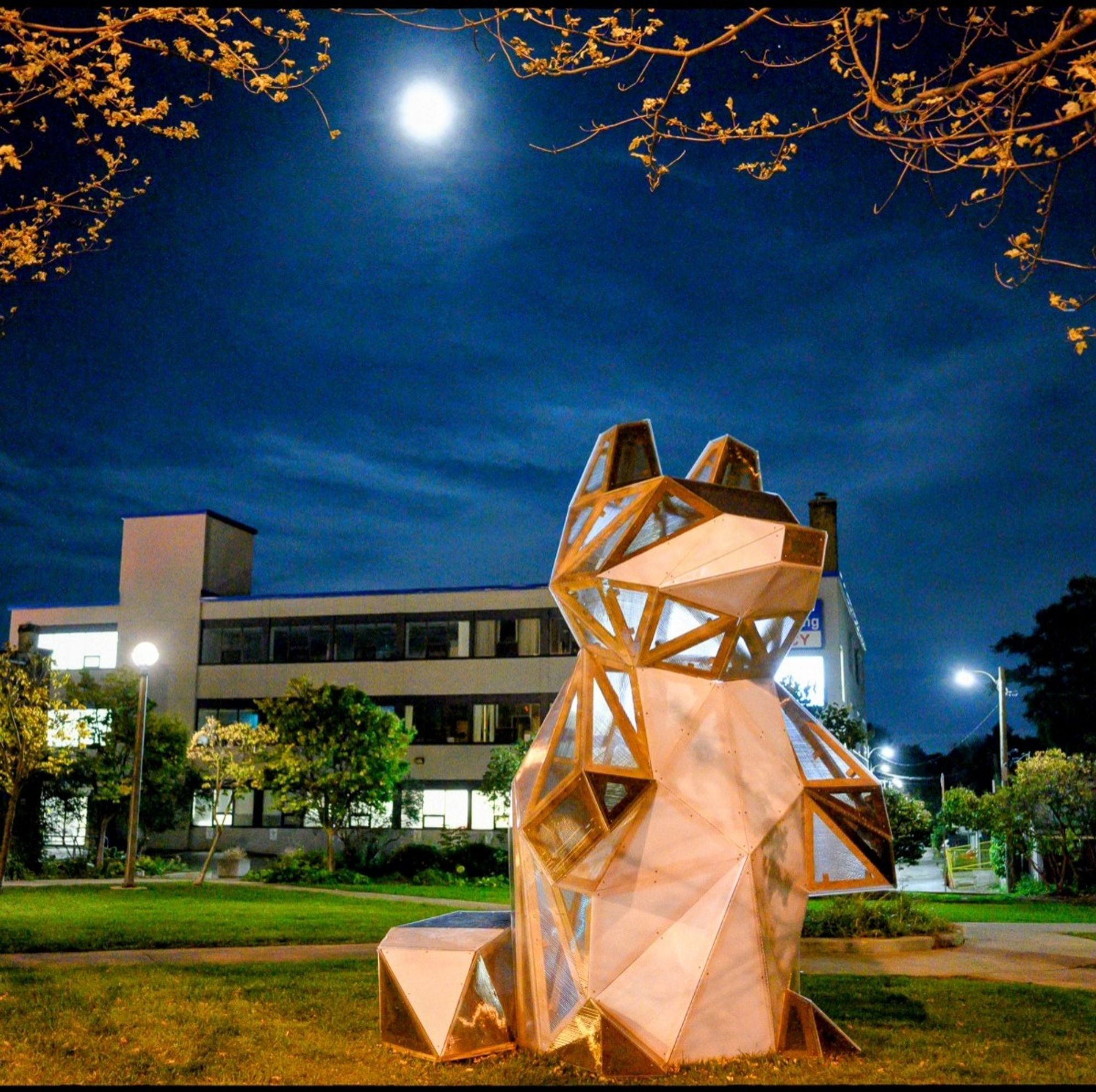 Congrats the 14 foot tall raccoon,  photographed by me under the full moon last year.