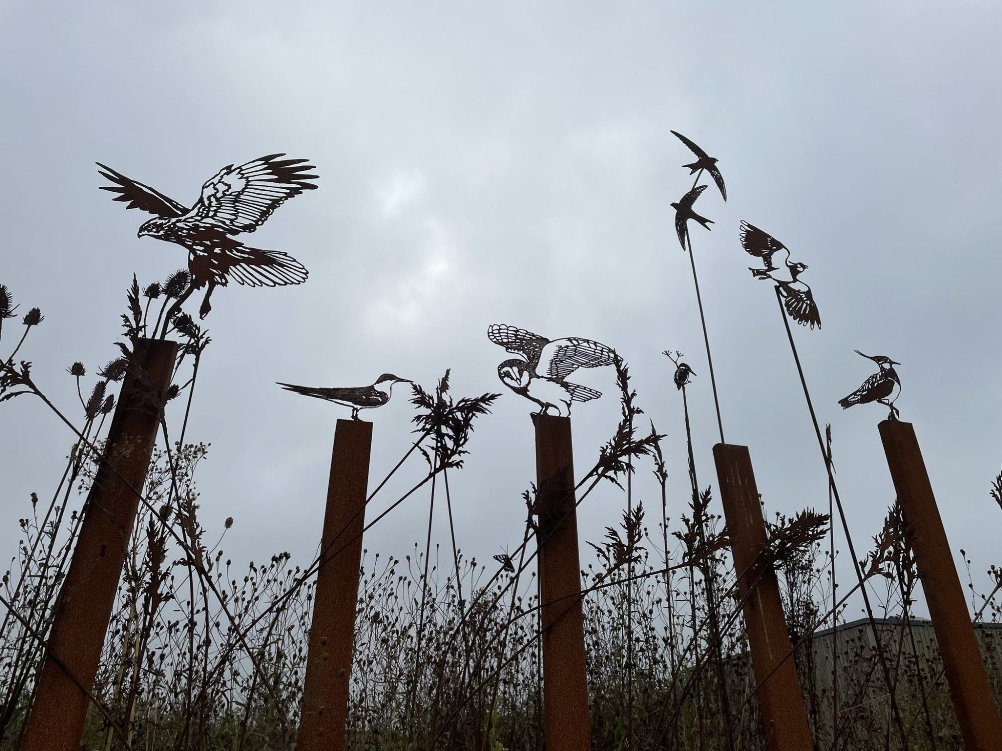 outdoor metal sculpture of a birds