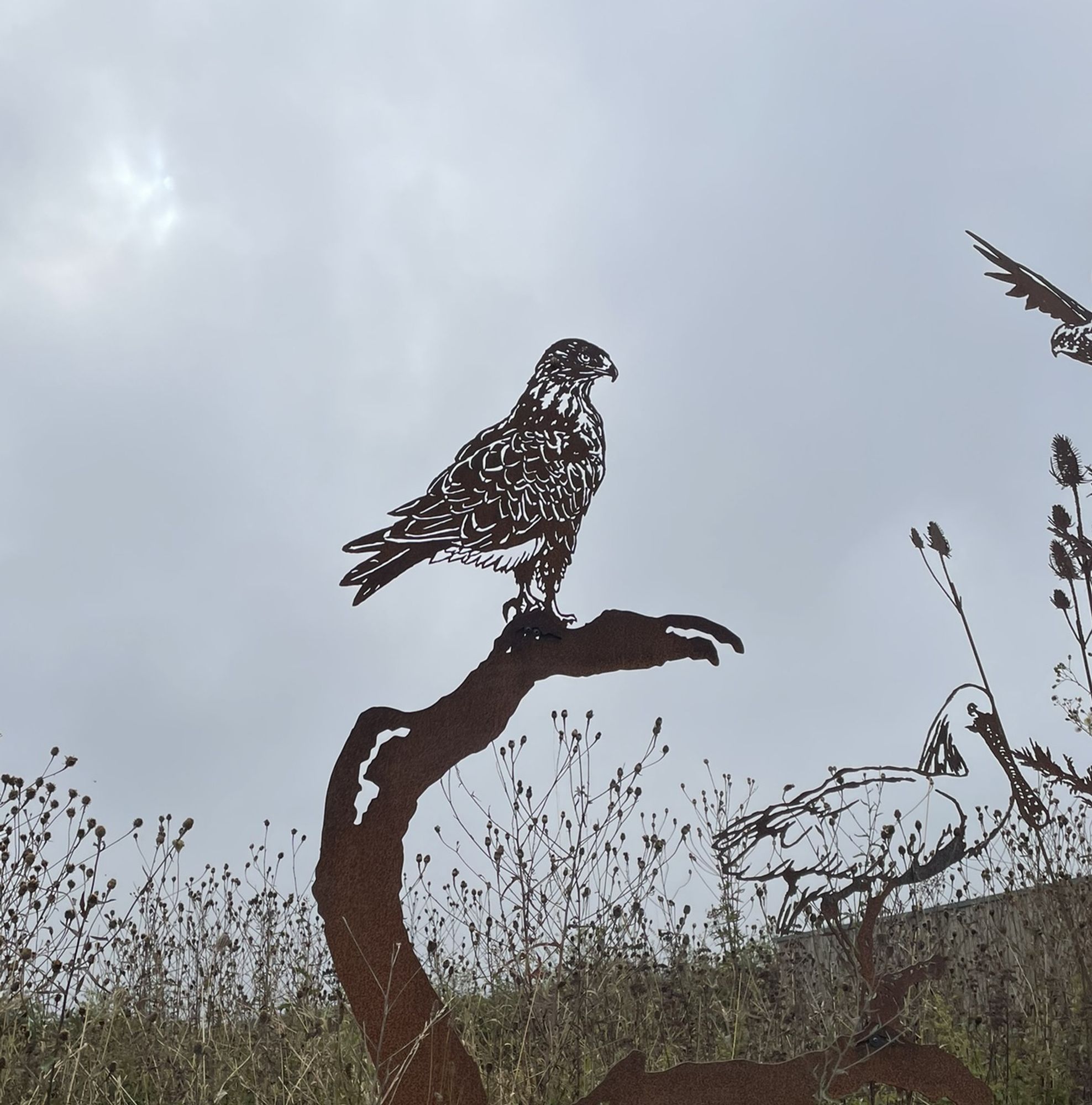 outdoor metal sculpture of a common buzzard and a spoonbill