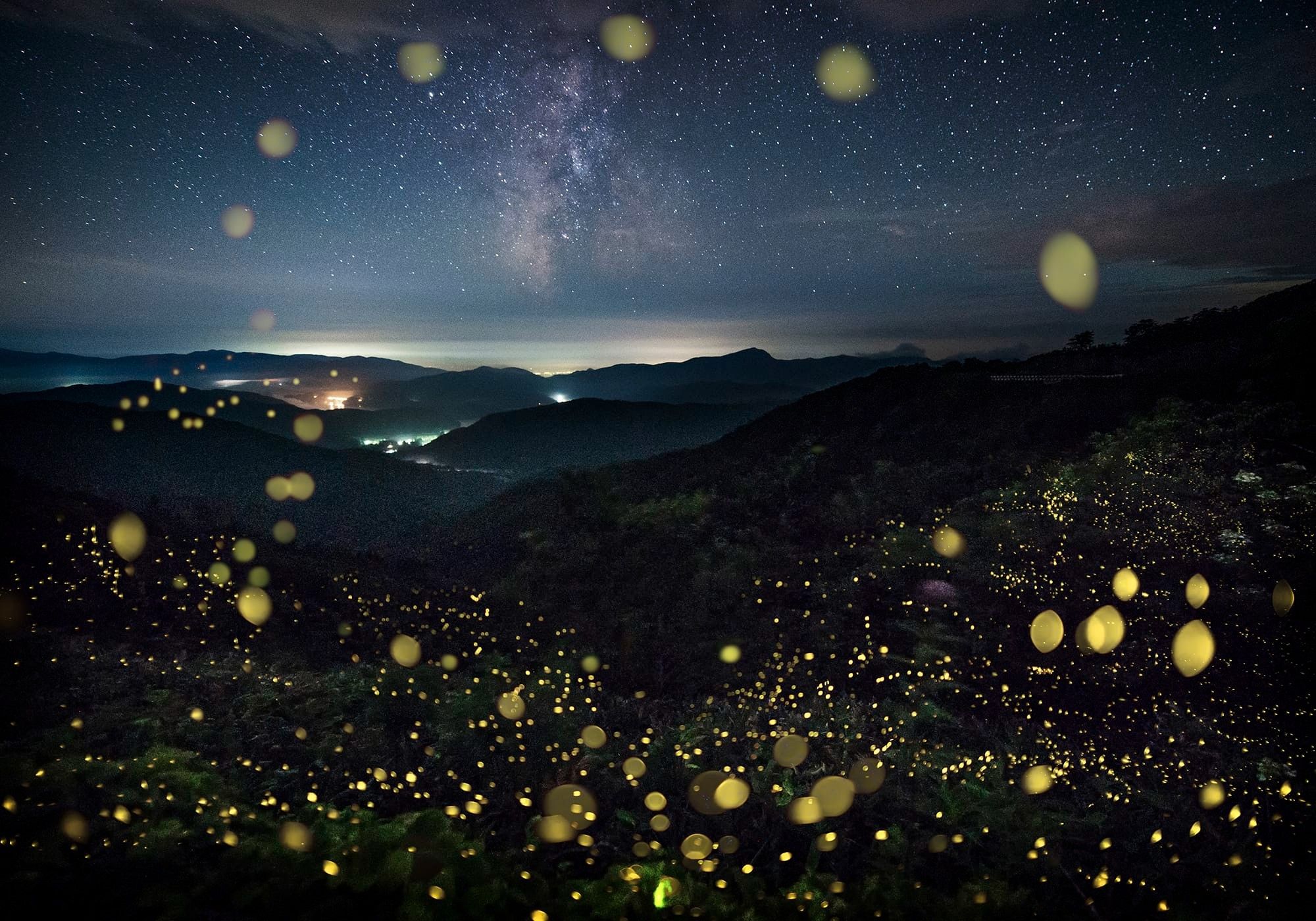 a multi-exposure photograph of a mountainous view night with fireflies indicated by tiny blurred yellow spheres of light