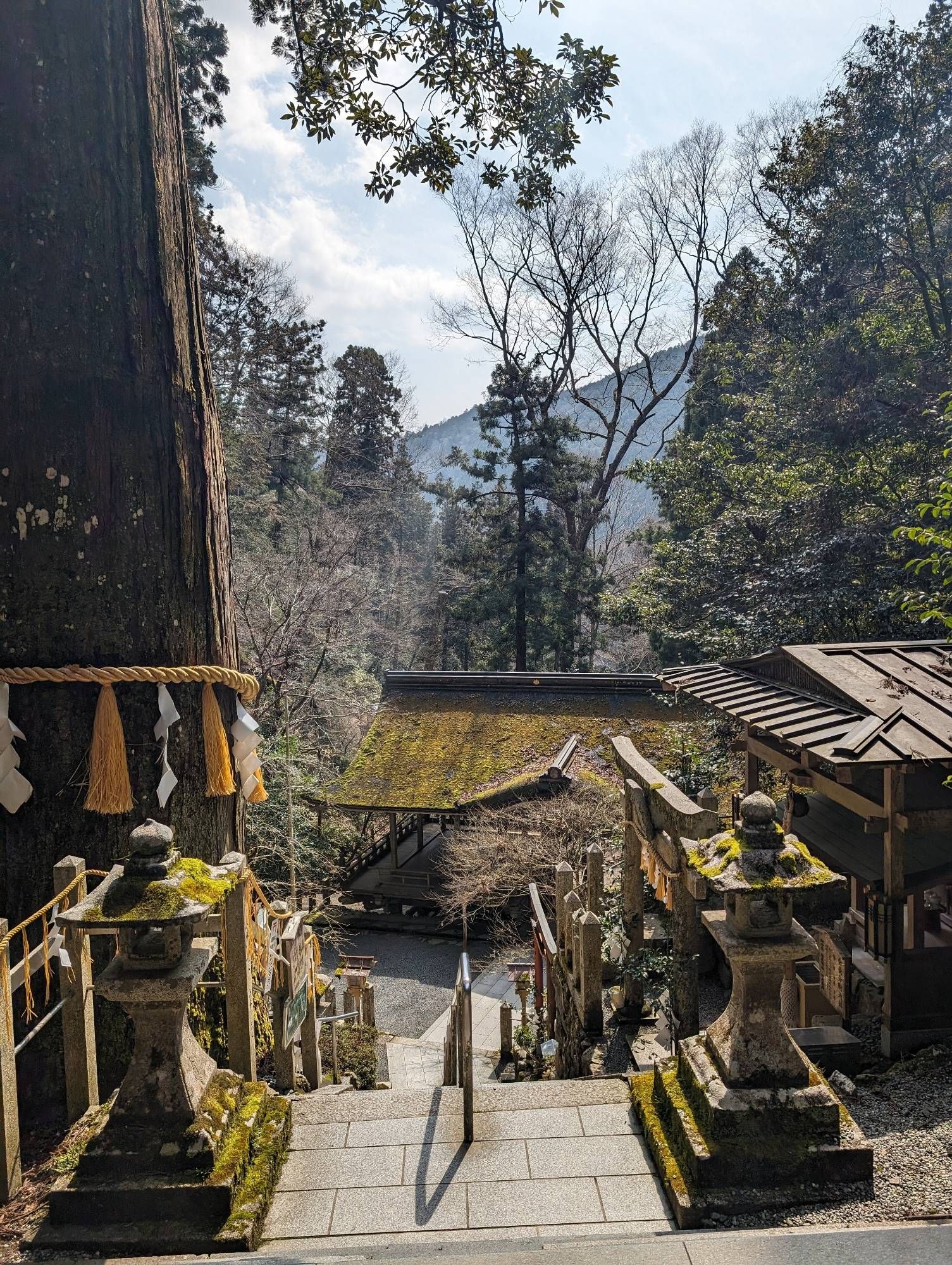 In the distance, misty tree covered mountainside. Trees in the middle distance. Foreground is steps with a moss-covered Japanese stone lantern on either side, leading down to an open sided temple building with moss-covered roof.