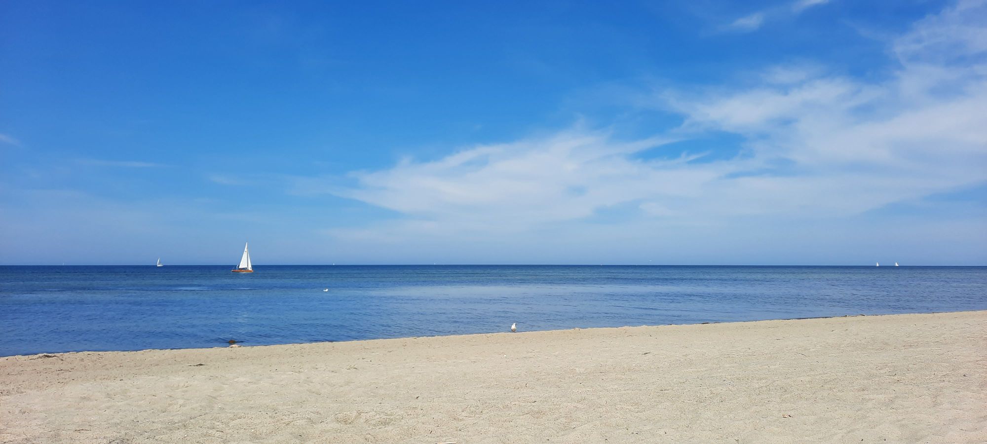 Sandstrand mit Möve und Segelboot. Am blauen Himmel ein paar Schleierwolken.