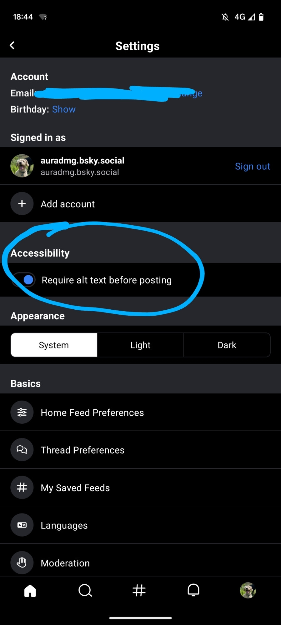 A screenshot of the Bluesky settings menu with the selector for "Require Alt Text Before Posting" circled.