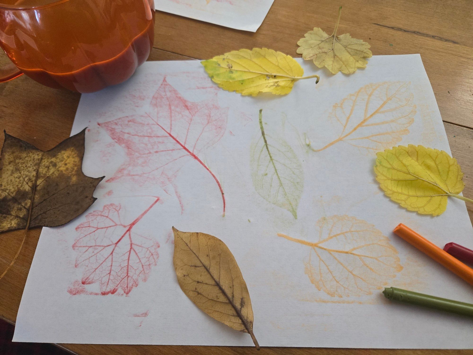 White printer paper on a wood table with impression coloring of some very good fall leaves. The leaves used are in the picture along with orange, red, and olive green crayons with sleeves removed. In the top left corner is a pumpkin shaped mug, half full of coffee.