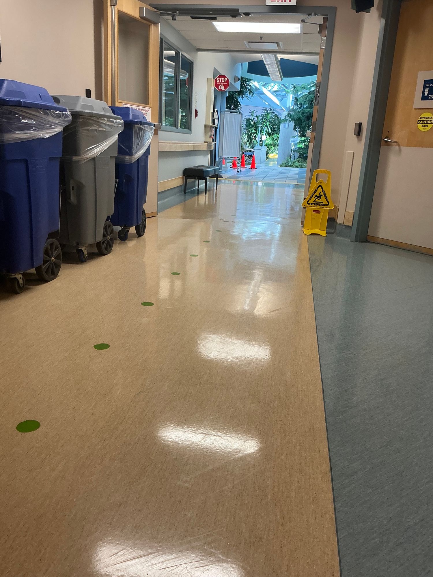 A view down a corridor with shiny linoleum. In the distance is a large atrium where tall plants are visible.