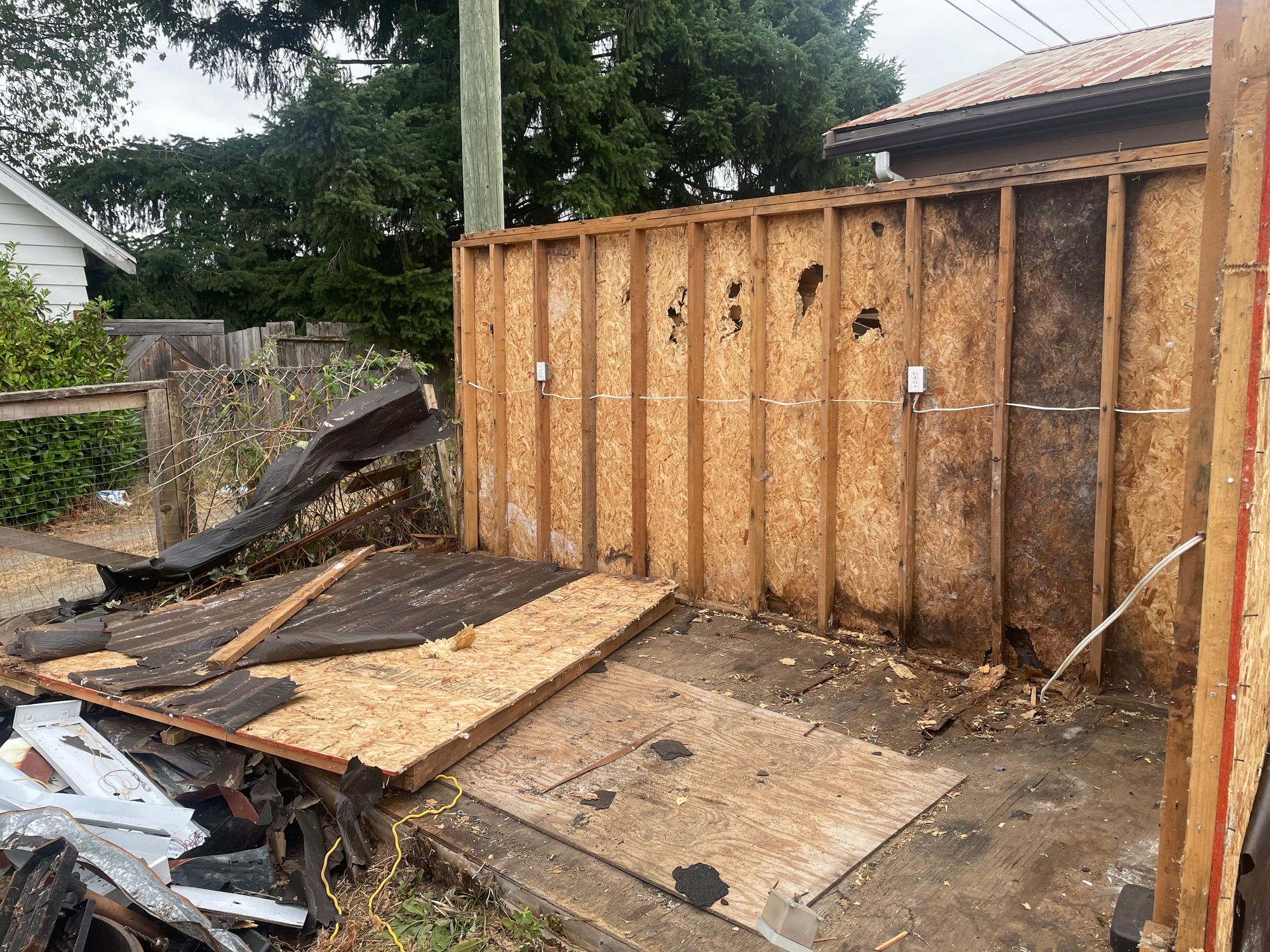 The far wall of a three wall shed. The front wall is gone. Has fallen down onto the floor of the shed. The back wall has noticeable rot sidewall is standing.