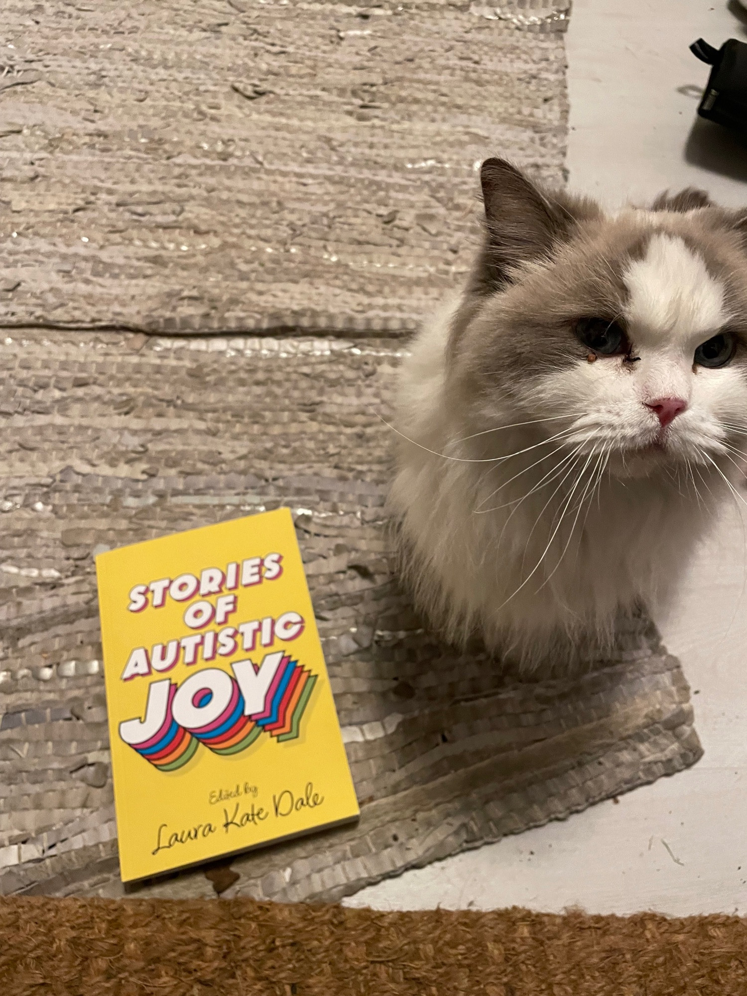 A white and grey rag doll cat sits next to a copy of Stories of Autistic Joy, edited by Laura Kate Dale