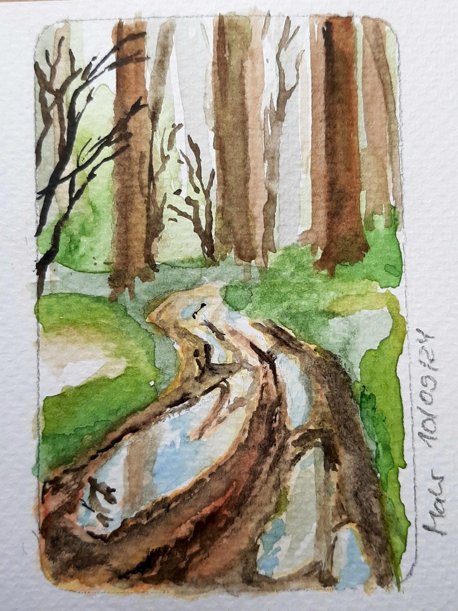 Aquarell. Ein Weg voller Pfützen schlängelt sich durch einenWald, rechts und links unkenntlich gemalter Strauchbewuchs in Grüntönen, im Hintergrund hohe Bäume und etwas Astwerk. In den Pfützen spiegeln sich die Bäume.