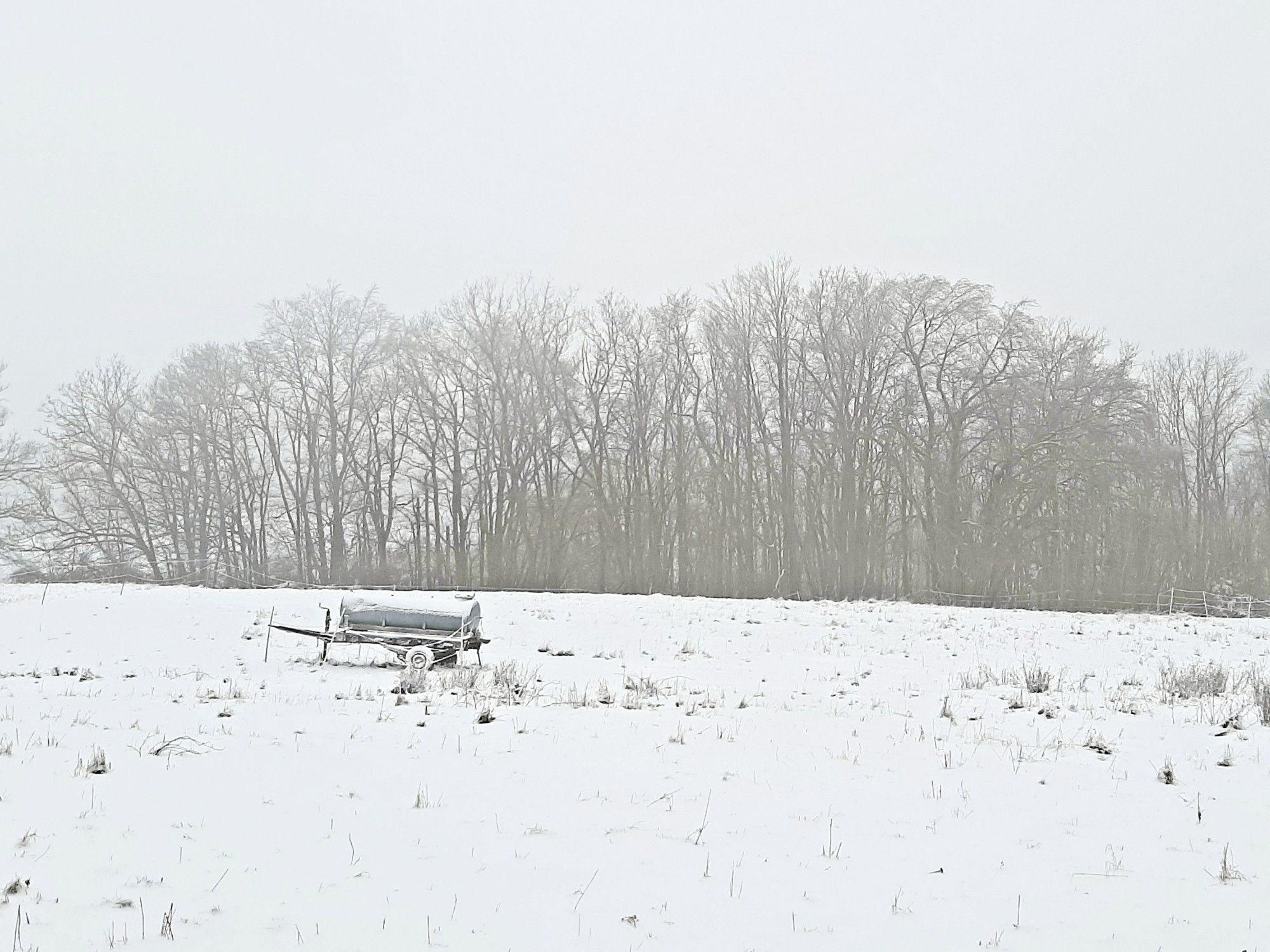 Ein blecherner Tränkewagen für Weidevieh steht auf einem Feld. Im Hintergrund ein Waldrand voller Buchen.
Alles im Schnee, der Himmel schneegrau.