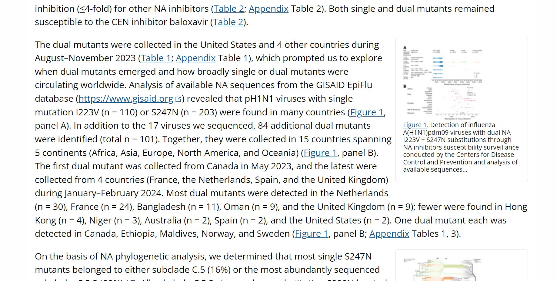 A screenshot of text that reads in part: "The dual mutants were collected in the United States and 4 other countries during August–November 2023 (Table 1; Appendix Table 1), which prompted us to explore when dual mutants emerged and how broadly single or dual mutants were circulating worldwide. Analysis of available NA sequences from the GISAID EpiFlu database (https://www.gisaid.orgExternal Link) revealed that pH1N1 viruses with single mutation I223V (n = 110) or S247N (n = 203) were found in many countries (Figure 1, panel A). In addition to the 17 viruses we sequenced, 84 additional dual mutants were identified (total n = 101). Together, they were collected in 15 countries spanning 5 continents (Africa, Asia, Europe, North America, and Oceania) (Figure 1, panel B). The first dual mutant was collected from Canada in May 2023, and the latest were collected from 4 countries (France, the Netherlands, Spain, and the United Kingdom) during January–February 2024. Most dual mutants were det