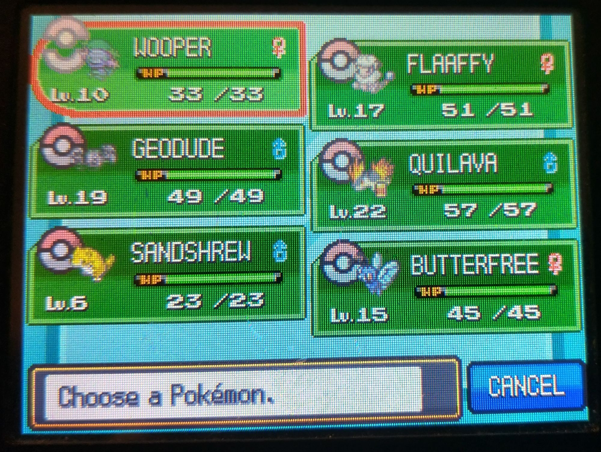 My roster so far
Wooper
Flaafy
Geodude
Quilava
Sandshrew 
Butterfree