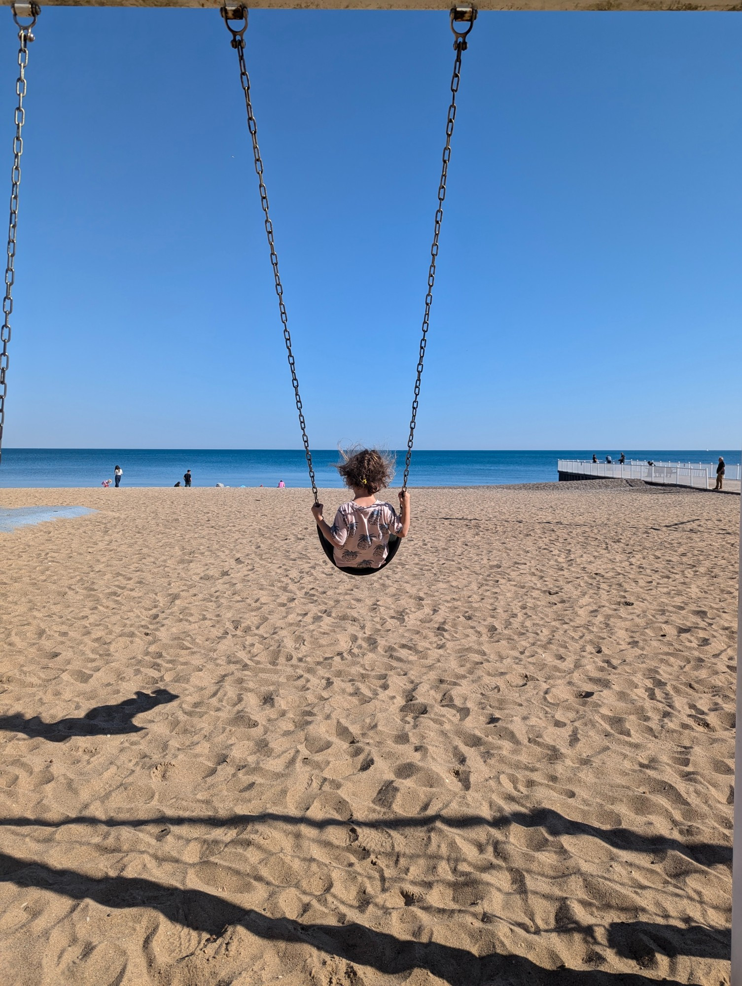 Little kid swinging into the sky with the backdrop of a beach and the lake.