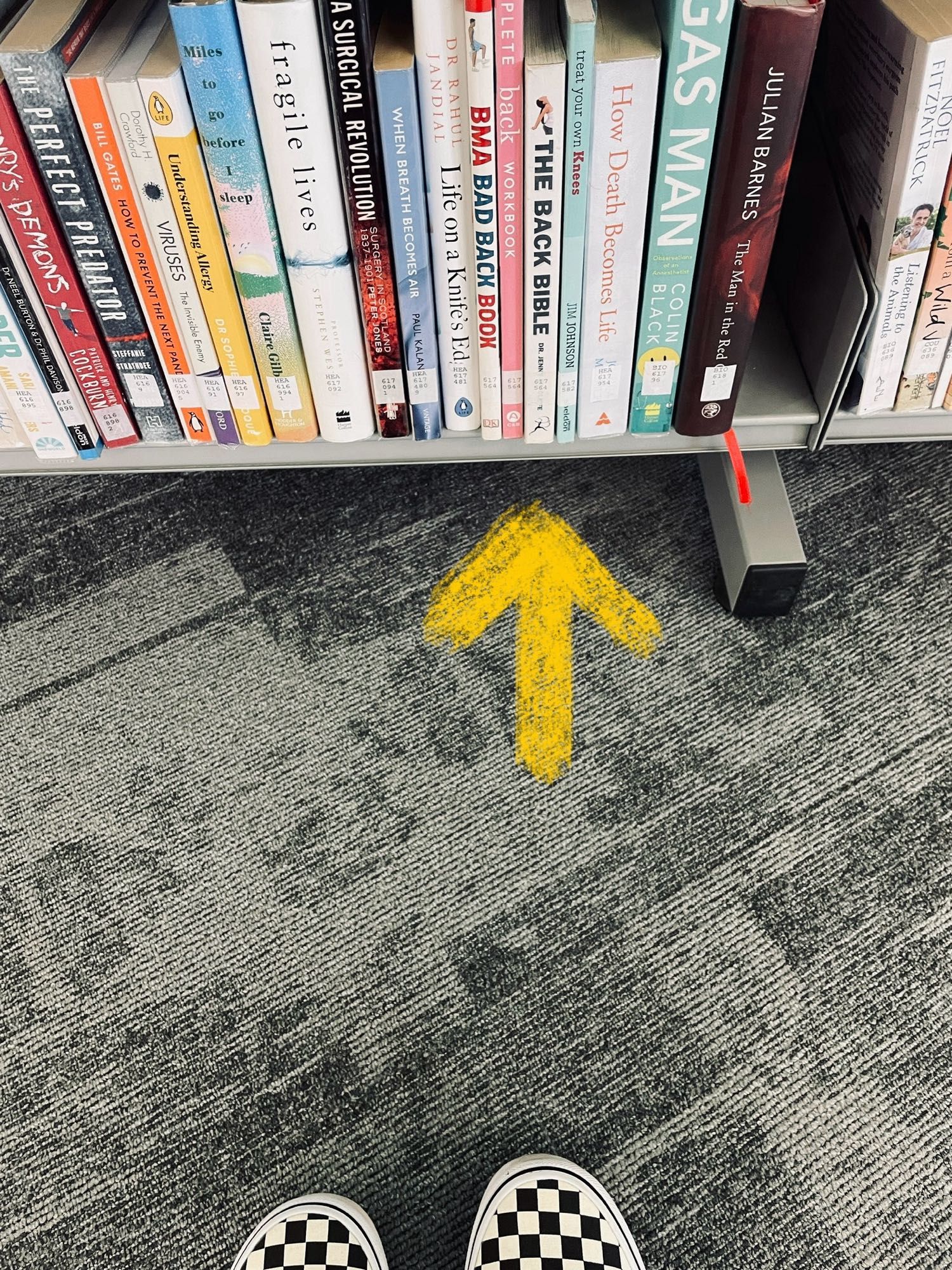 Photo of a library bookshelf - the bottom shelf which is maybe 15cm from the floor - that is currently where you will find the bad back/back pain books.