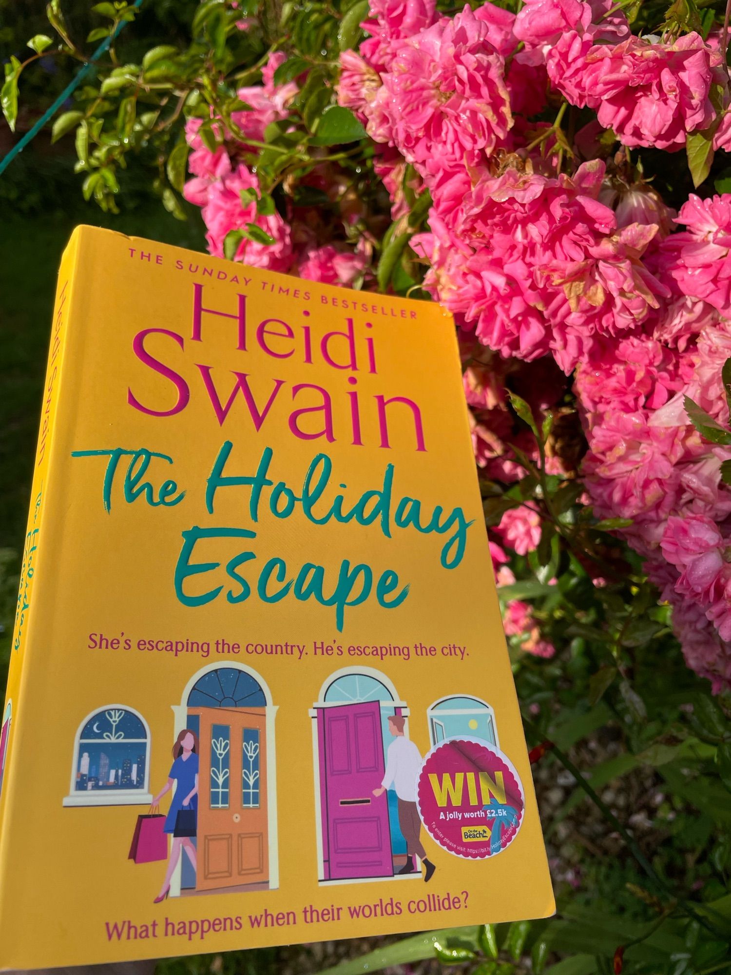 book cover of The Holiday Escape by Heidi Swain next to my pink rambling roses