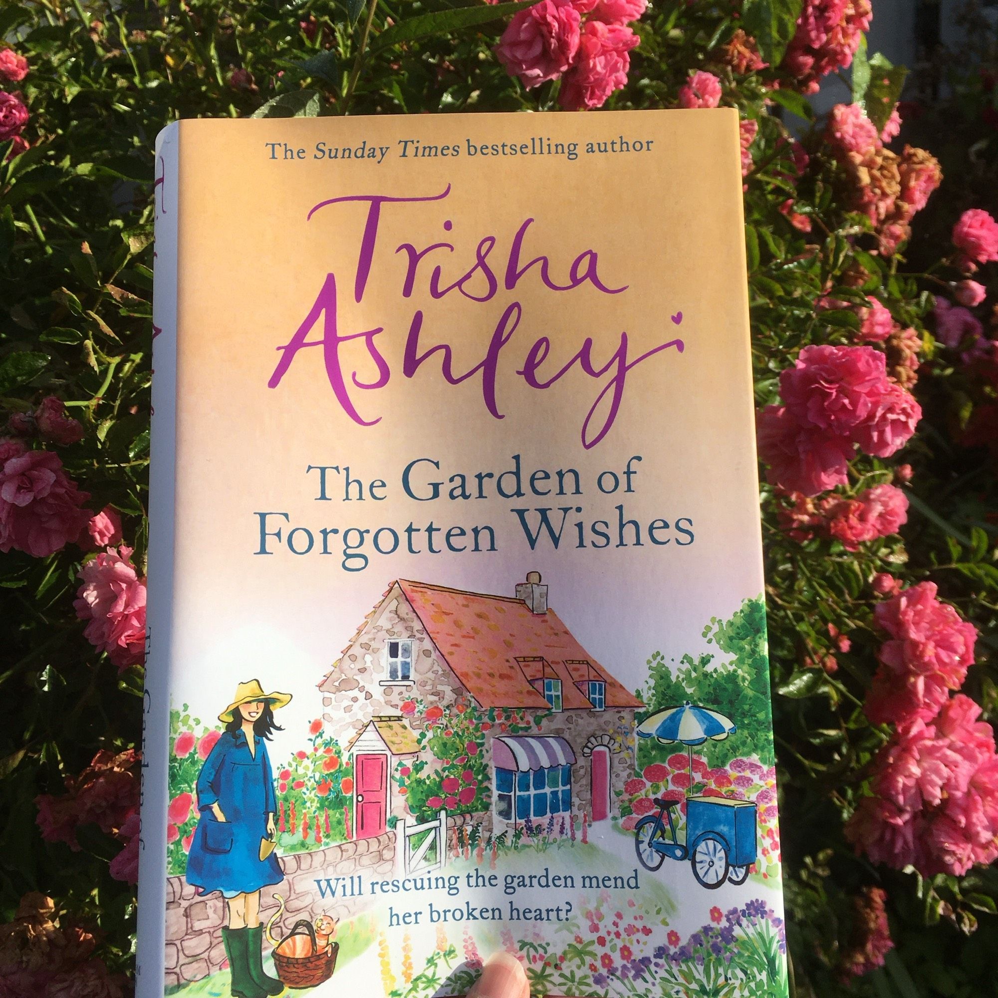 book cover of The Garden Of Forgotten Wishes by Trisha Ashley next to my rambling rose