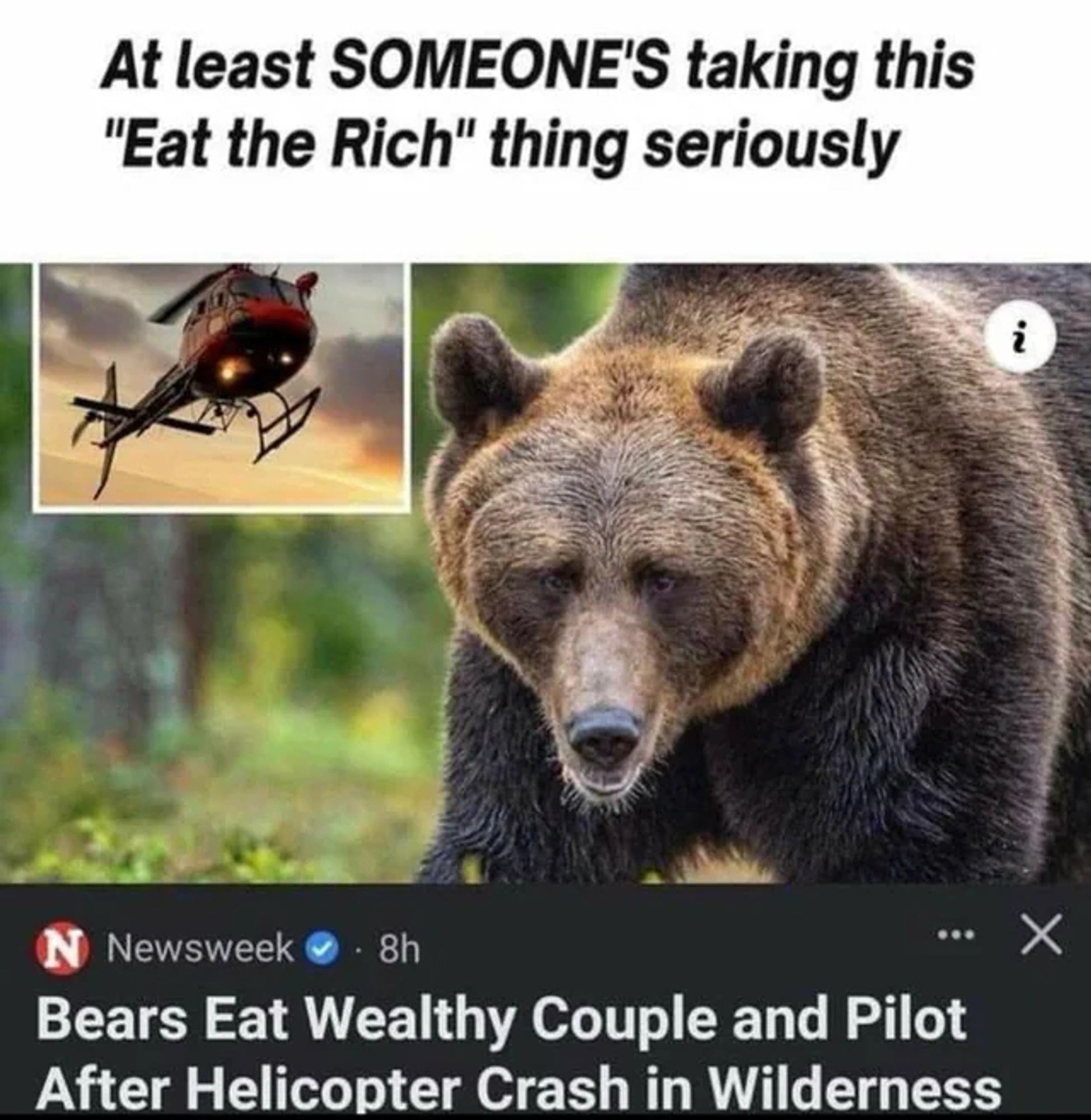 A meme featuring two images and a text headline. The top image shows a helicopter in flight with a stylized overlay of a bear silhouette superimposed on it. Below is a close-up photo of a bear looking directly towards the viewer. The headline text above reads, “At least SOMEONE’S taking this ‘Eat the Rich’ thing seriously,” in white font against a black background. Underneath the bear image is a mocked-up social media news post by Newsweek with the headline “Bears Eat Wealthy Couple and Pilot After Helicopter Crash in Wilderness” and a timestamp of 8 hours ago. The overall meme is satirical in tone, juxtaposing the saying “Eat the Rich” with an outlandish news headline.