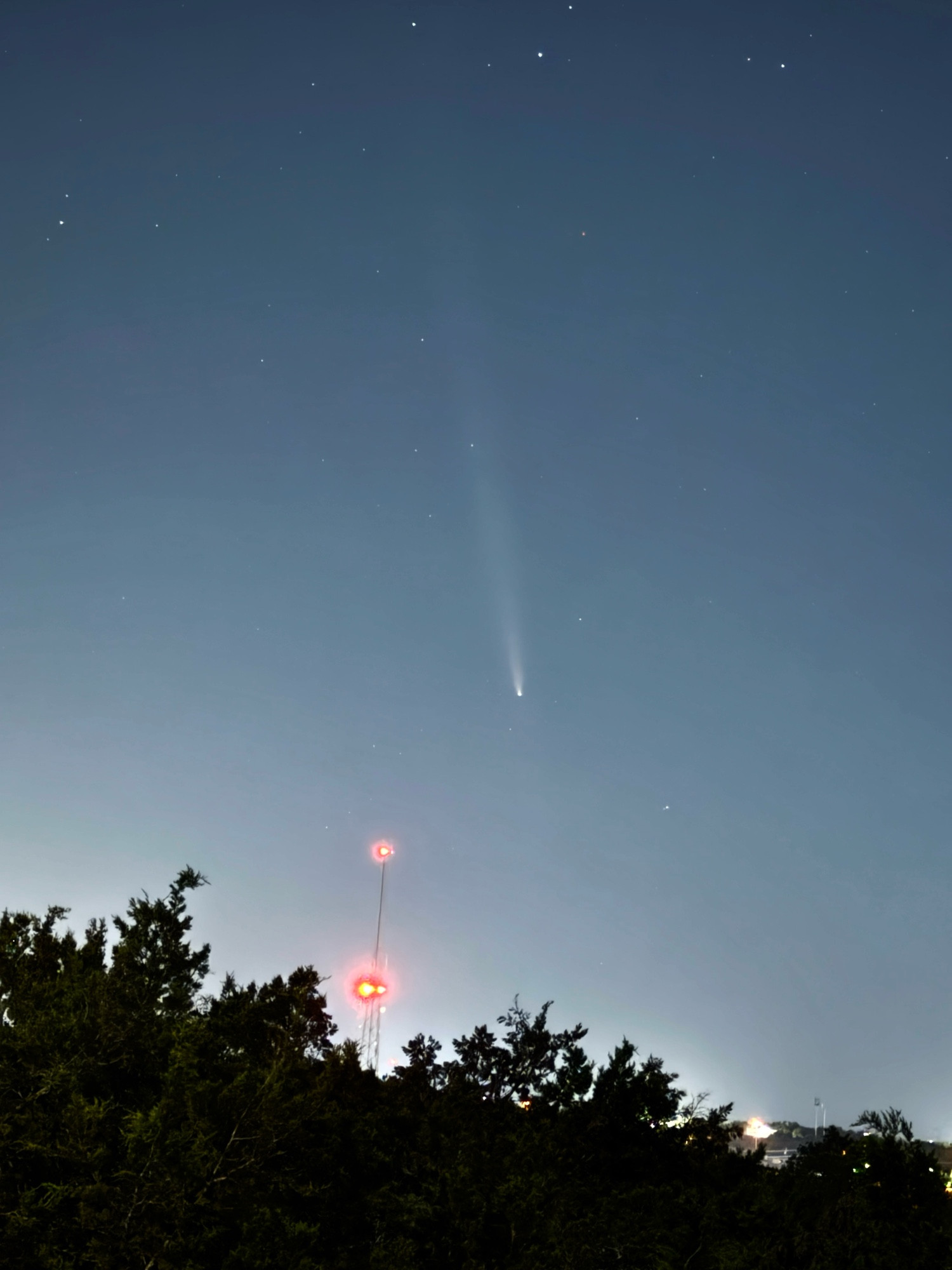 A comet, tail streaming upwards, just above the horizon shortly after sunset.