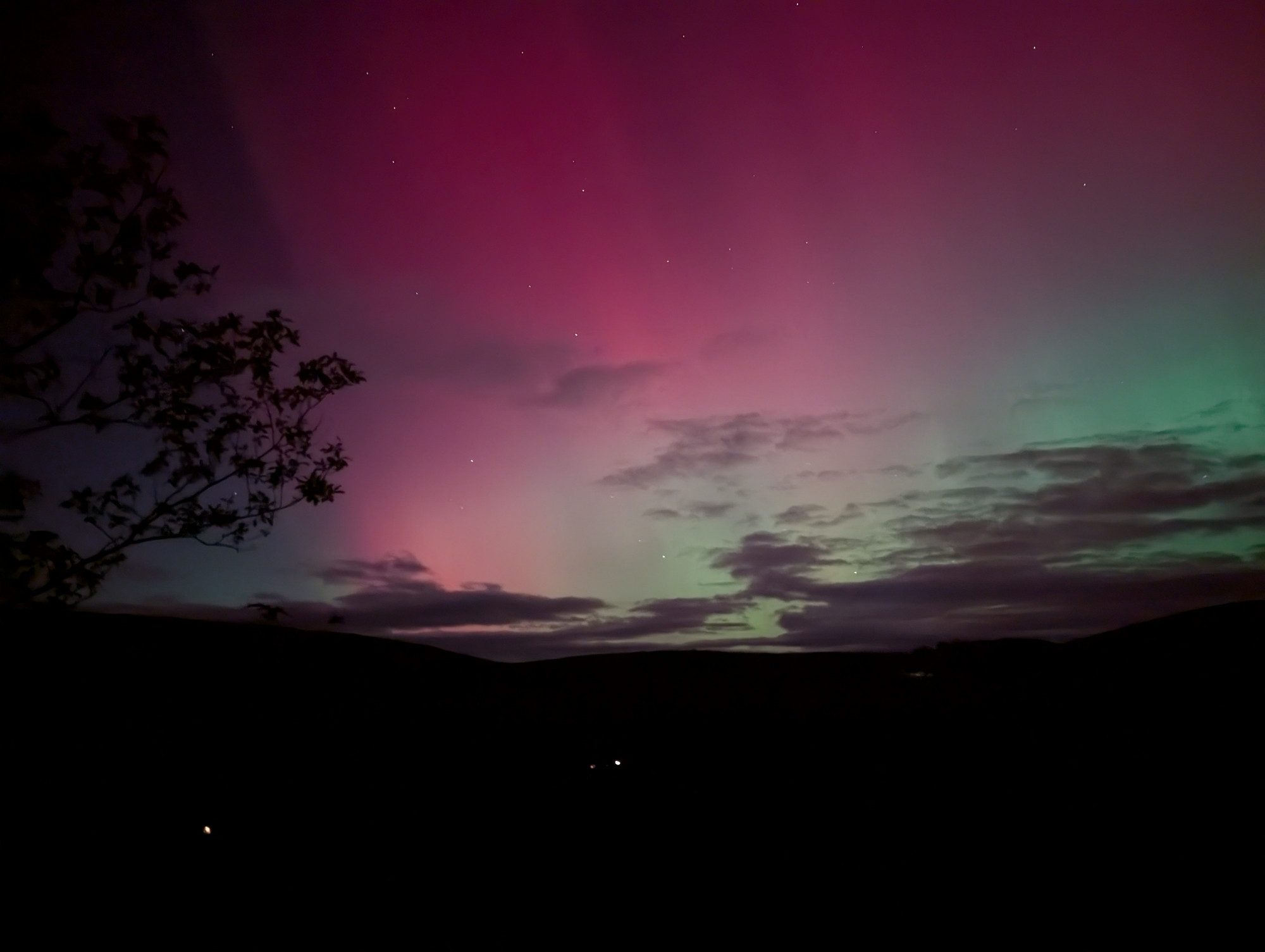 A red, yellow, and green night sky with some clouds and the silhouette of a tree