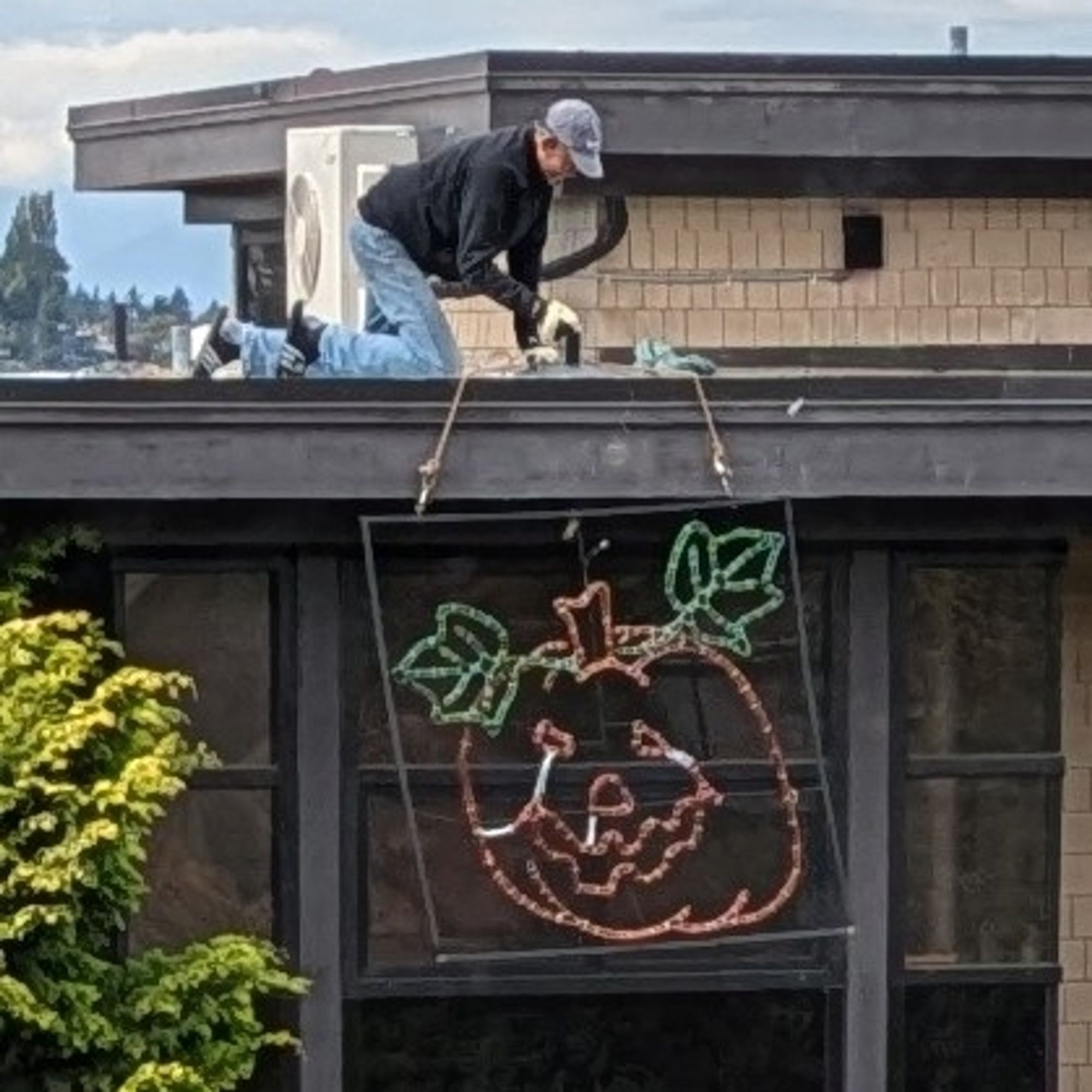 My neighbor putting up their giant light-up pumpkin decoration