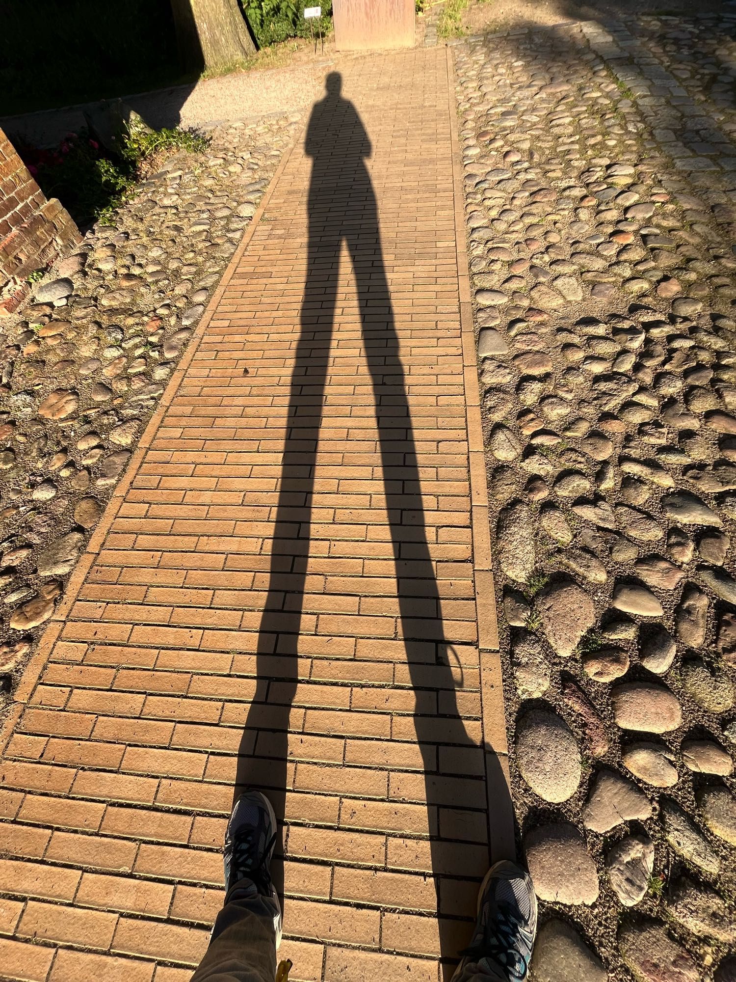 Gezielter Fußweg, rechts und links davon Kopfsteinpflaster. Auf dem Fußweg ist der Schatten einer Person in der tief stehenden Sonne zu sehen. Große Füße, lange Beine, kleiner Kopf.