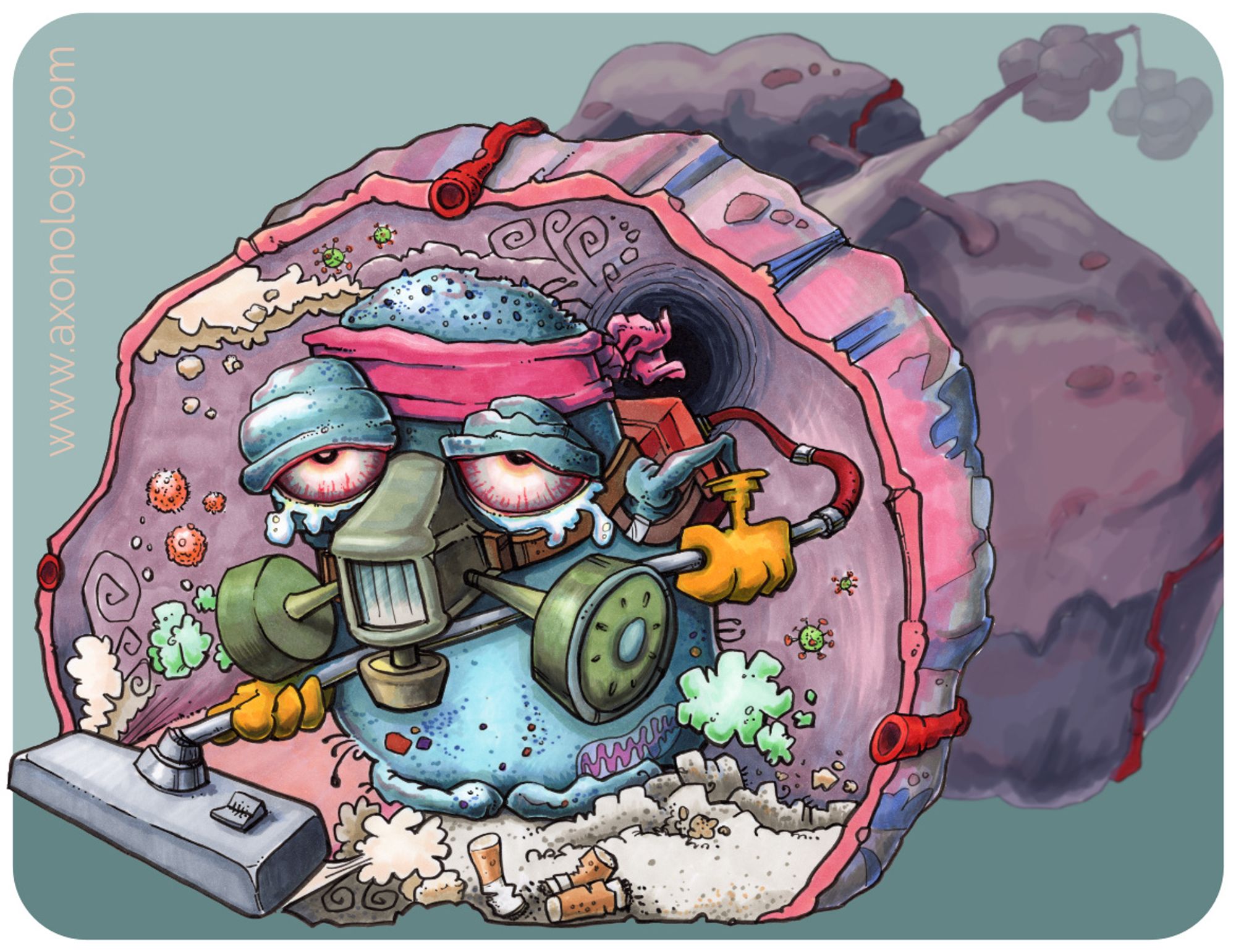 Cartoon alveolar macrophage vacuuming inside a lung #SciArtSeptember