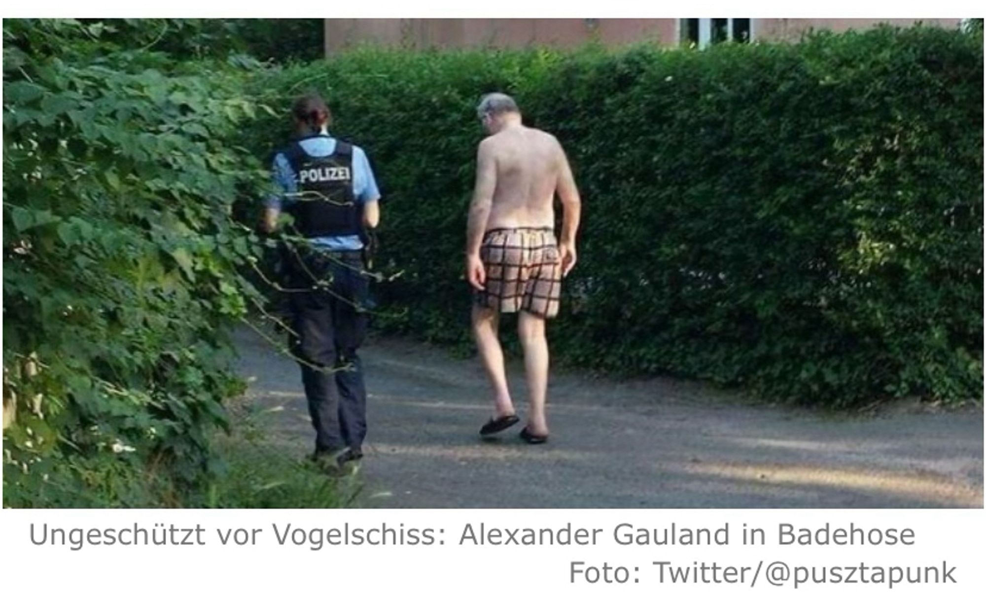 Gauland nur in Unterhose bekleidet geht von einer Polizistin begleitet vom Badesee zu seinem Haus.

Bildunterschrift in der taz

Ungeschützt vor Vogelschiss: Alexander Gauland in Badehose
Foto: Twitter/@pusztapunk